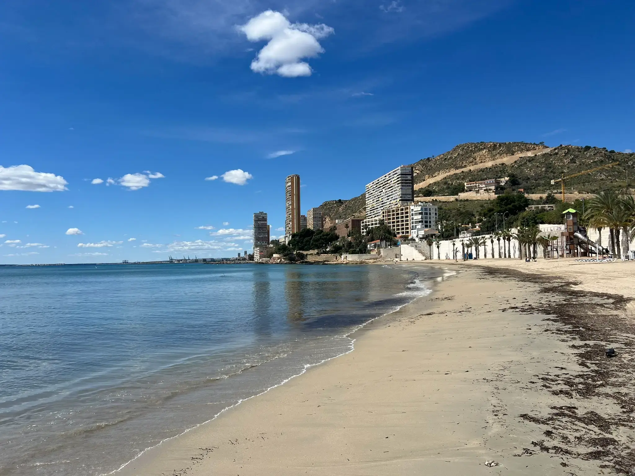 Albufereta Beach in Alicante — wide sandy beach with towering palm trees, wooden accessible walkways, a children's playground slide, and the cityscape skyline.