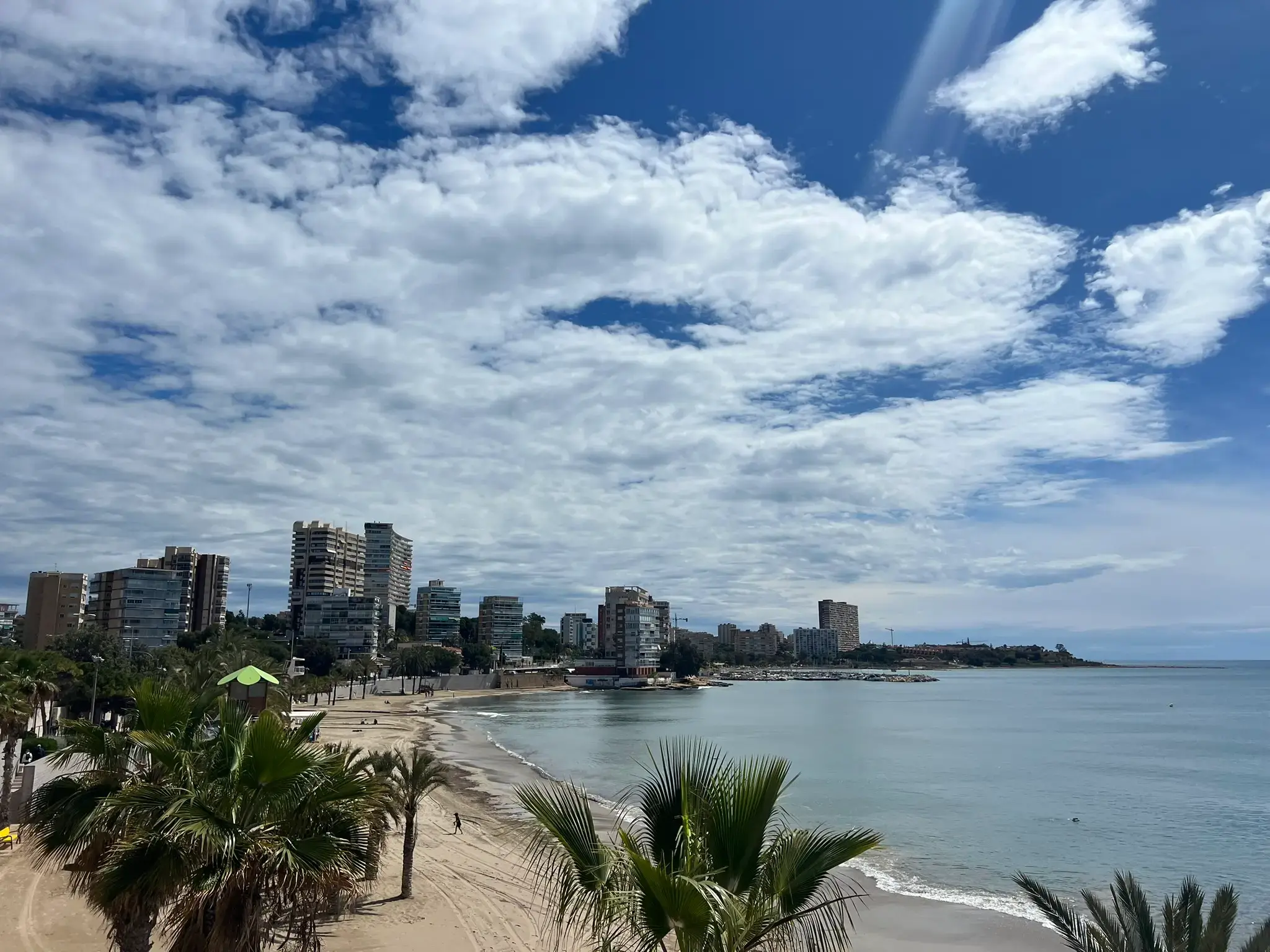 Panoramic view of Albufereta Beach in Alicante, Spain — wide sandy bay lined with palm trees and modern residential buildings along the Mediterranean coast under a cloudy sky.