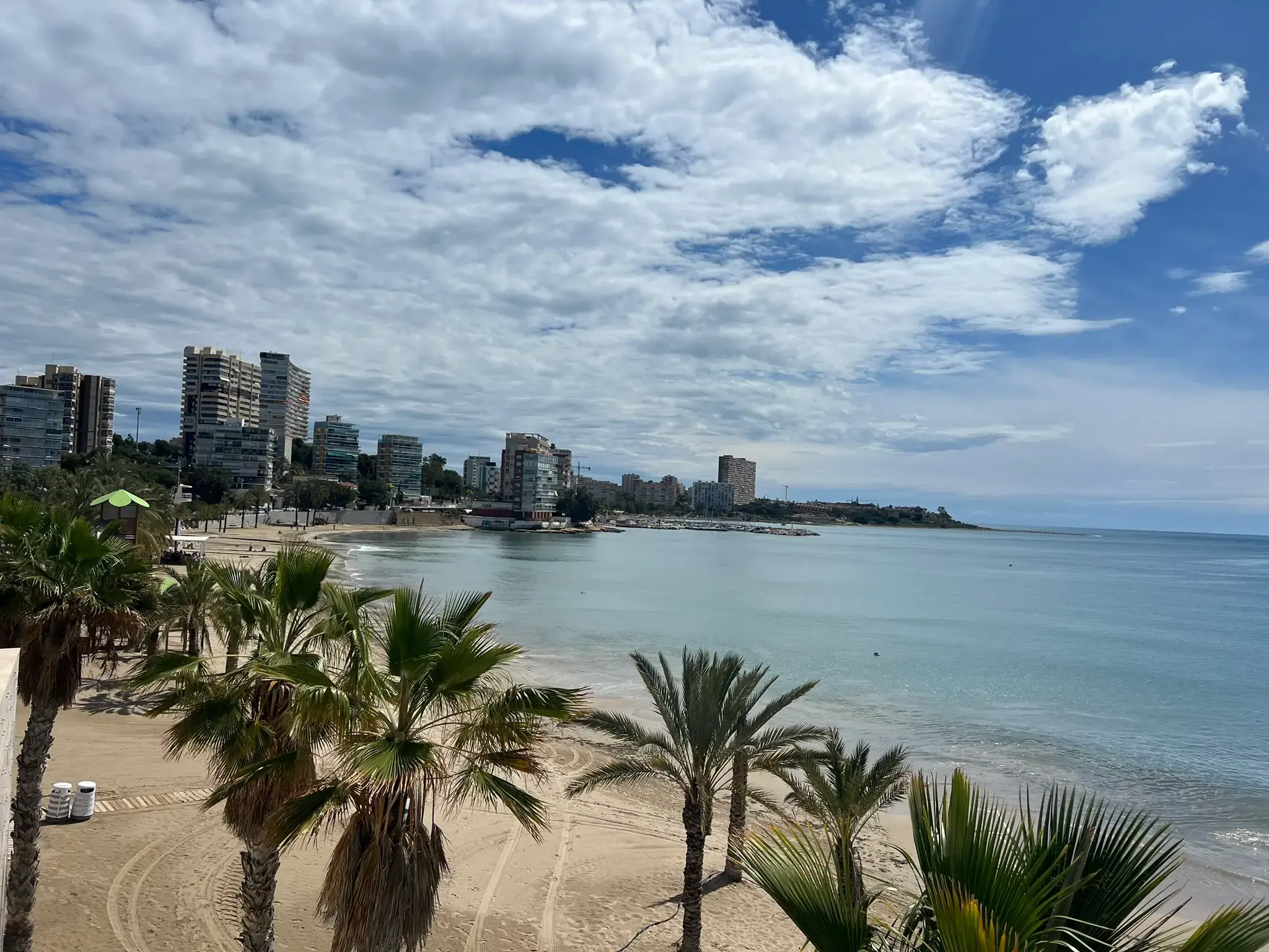 Panoramic bay view of Playa de l'Albufereta in Alicante — calm turquoise Mediterranean water and golden sand beach framed by palm trees in the Albufereta residential area.