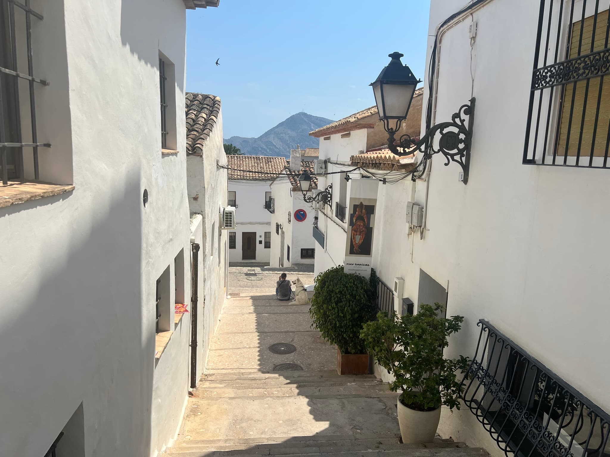 A view looking up a stone staircase in the historic old town of Altea, Spain. Whitewashed buildings, potted cypress trees, and flowering plants line the steps, with the tower of the iconic Consuelo church visible in the background under bright sunshine.