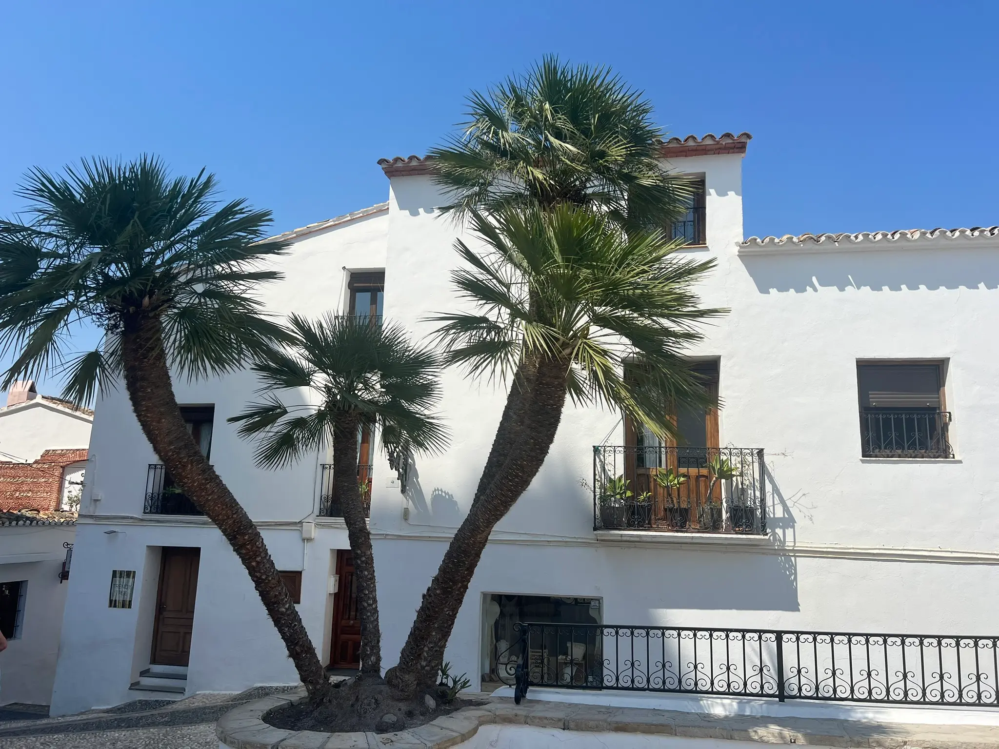 A traditional whitewashed Mediterranean house in Altea old town, Spain, featuring a unique multi-trunk palm tree in a stone planter on the foreground, wooden doors, and ornate wrought-iron balconies under a clear bright blue sky.