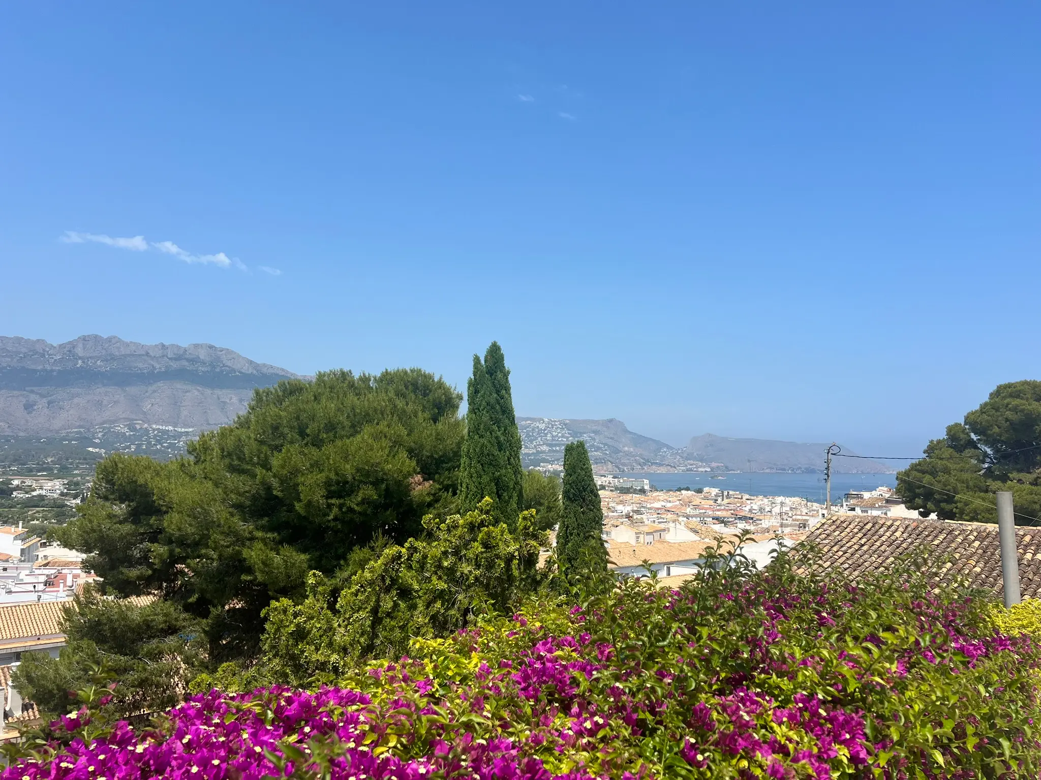 A panoramic view from a viewpoint in Altea, Spain, showcasing vibrant purple bougainvillea flowers in the foreground, green cypress trees, and terracotta rooftops, overlooking the Mediterranean Sea bay and distant mountains under a clear blue sky.
