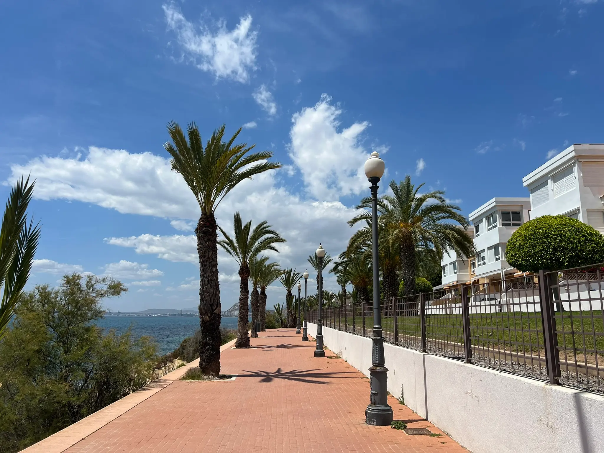 Cala Cantalar Alicante — elevated palm-lined promenade at Cabo de las Huertas with Mediterranean sea views and Alicante port in the distance