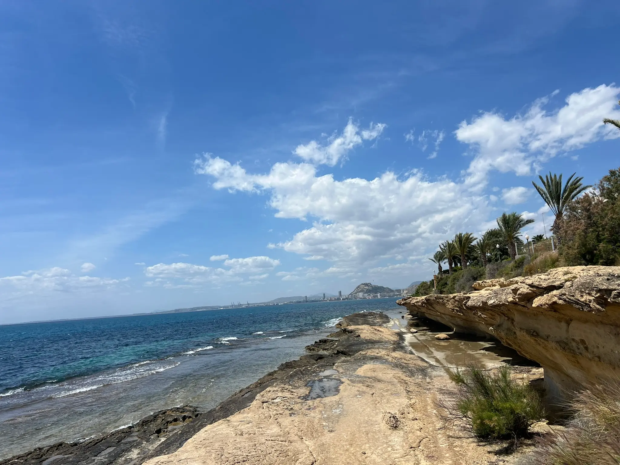 Cala Cantalar Alicante — rocky Cabo de las Huertas coastline with crystal clear water, palm trees and full Alicante skyline with Santa Barbara Castle panorama