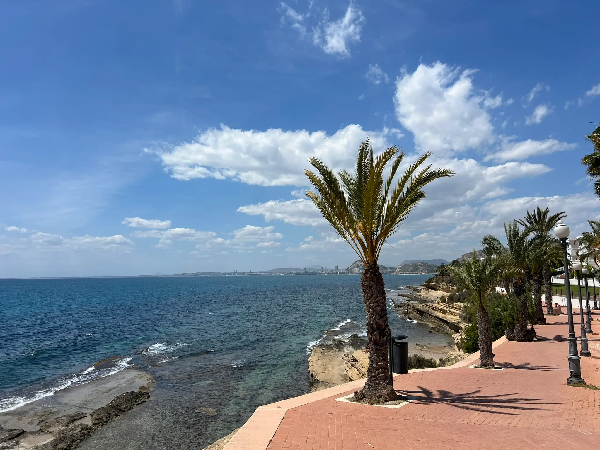 Cala Cantalar Cabo de las Huertas Alicante — palm-lined seafront promenade above rocky coastline with panoramic views of Alicante city and Mediterranean sea