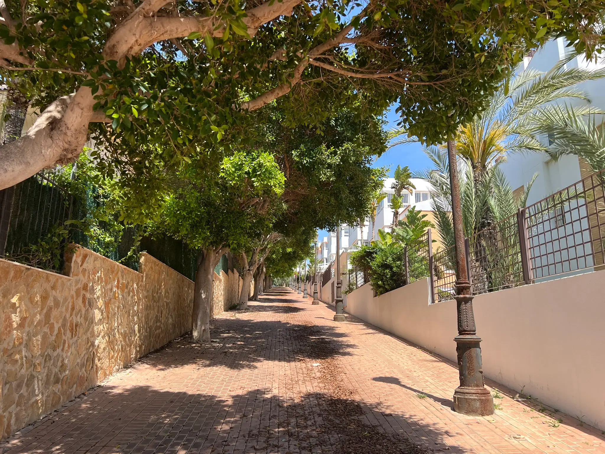 Cala Cantalar Alicante — shaded tree-lined pedestrian path leading to Cabo de las Huertas cove, quiet residential street near Cala Cantalar