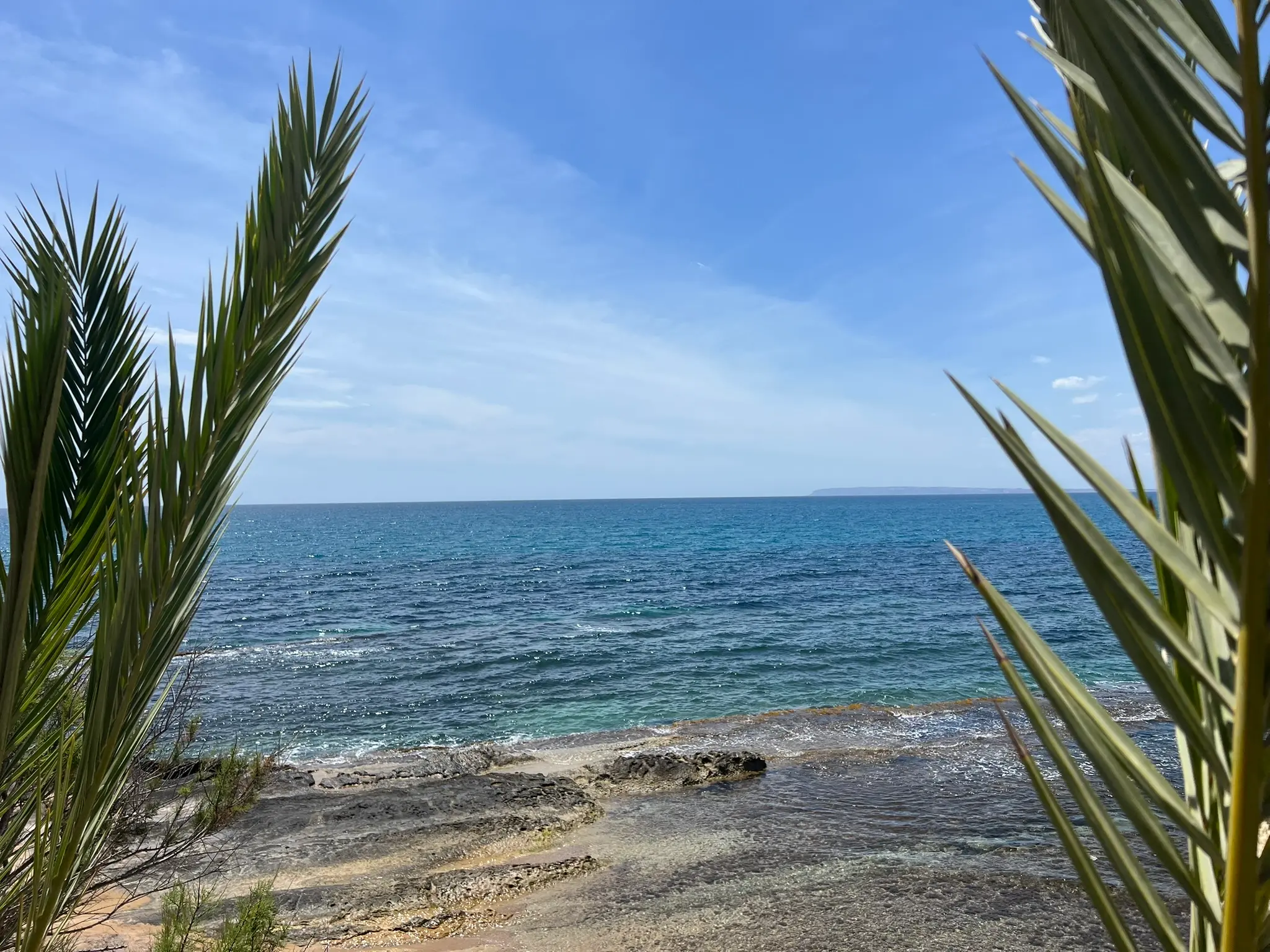 Cala Cantalar Alicante — crystal clear turquoise Mediterranean water at rocky cove framed by palm leaves, Cabo de las Huertas snorkelling spot