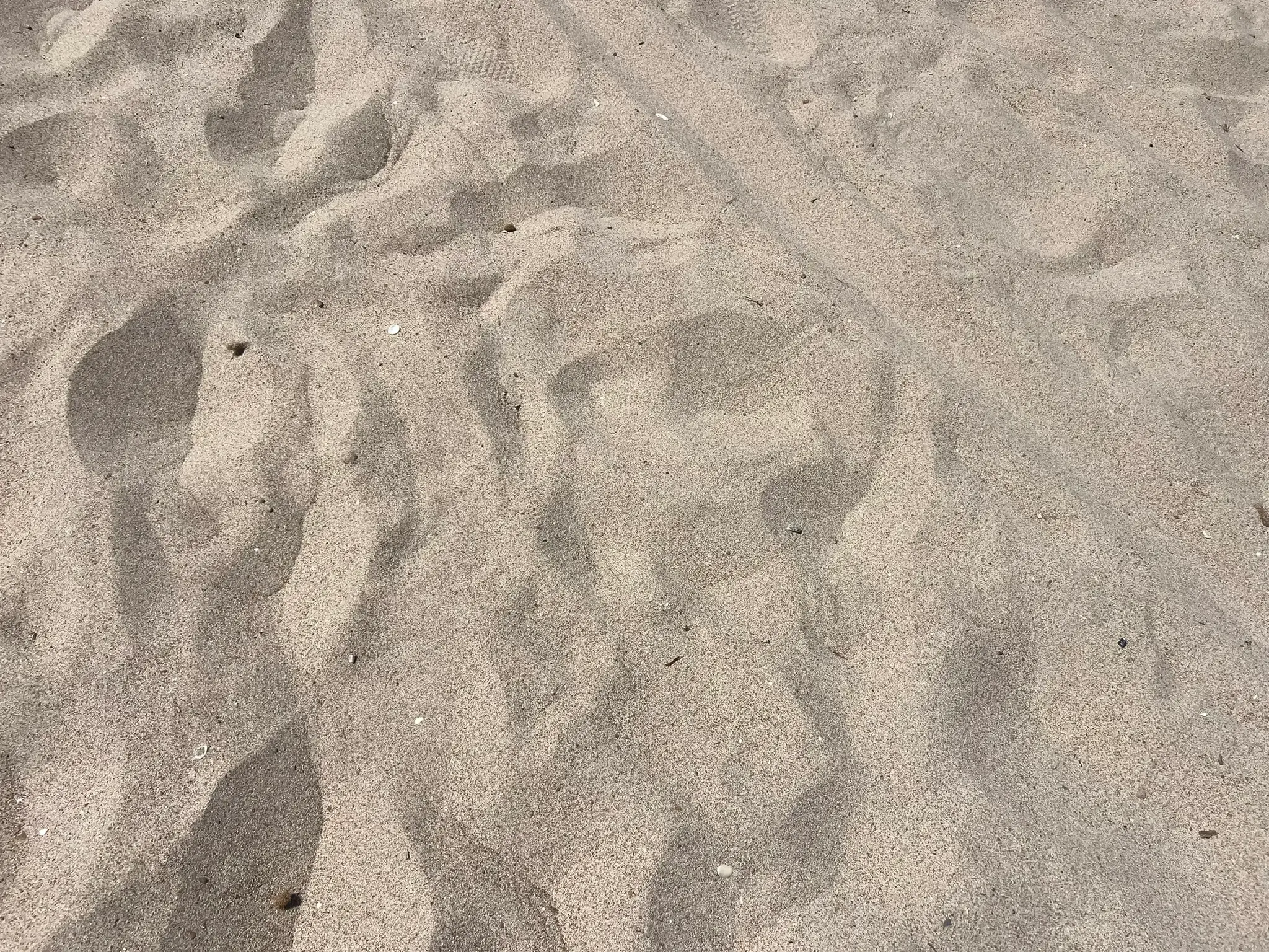 Close-up top view of the fine, light-colored sand on El Campello beach. The texture shows ripples, small footprints, and a few tiny pebbles under bright daylight.