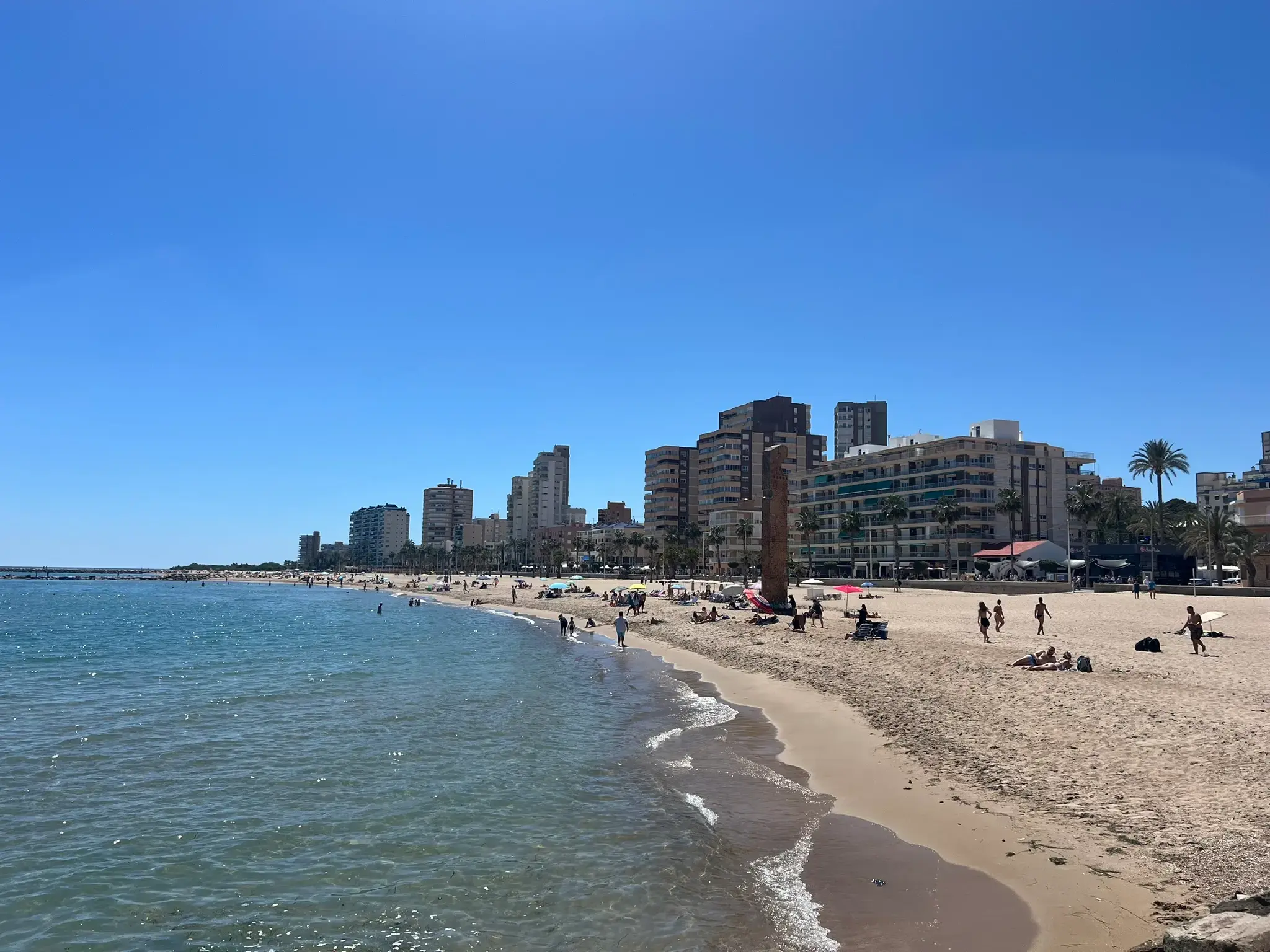 Sunny summer view of Platja del Carrer la Mar in El Campello. The sandy beach is full of sunbathers and colorful umbrellas, framed by a row of coastal hotels and apartments with palm trees. The clear turquoise Mediterranean Sea and the distant mountains of the Alicante region complete the panorama under a clear blue sky. Foreground features natural sea rocks.