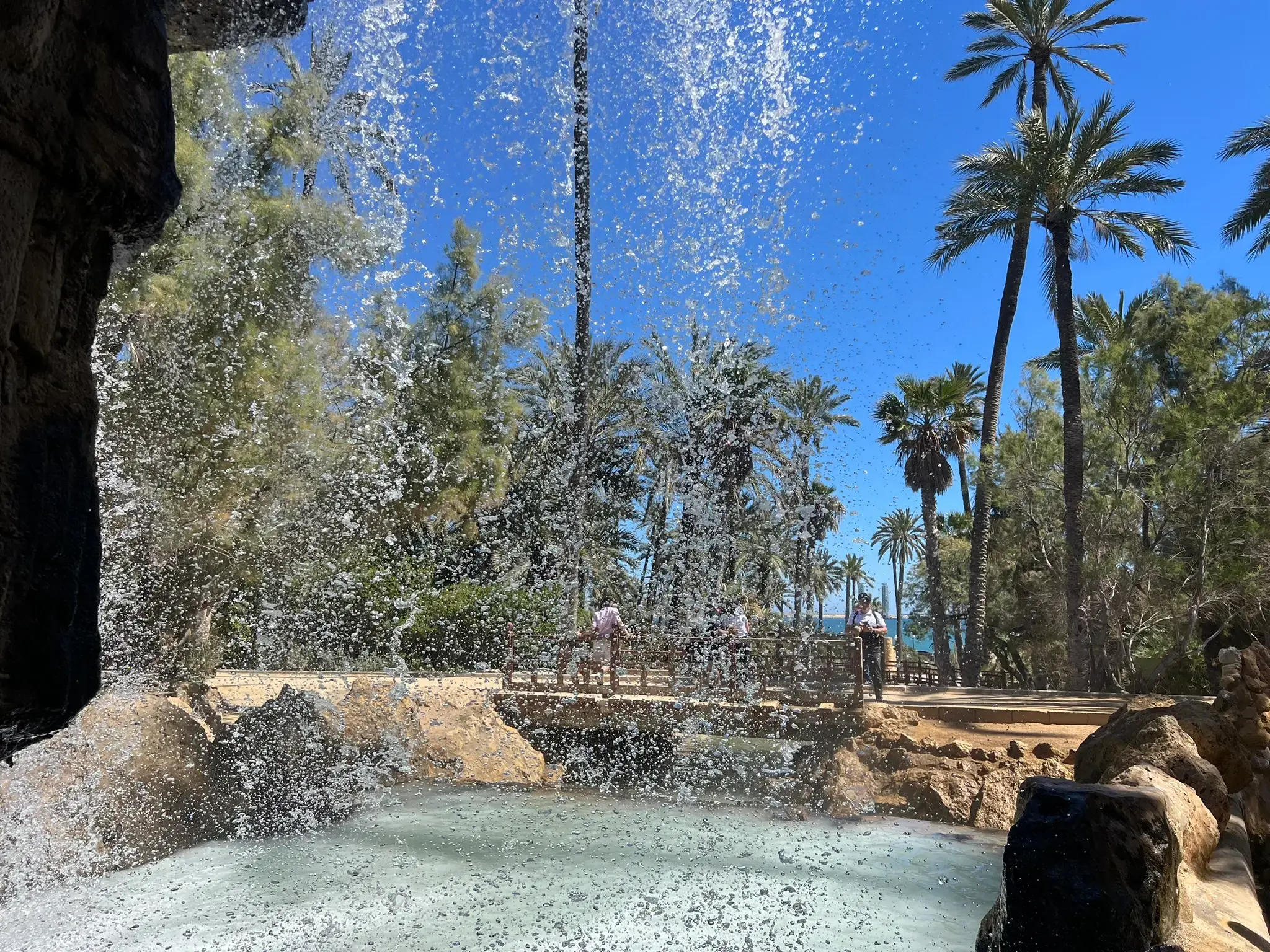 View from behind the waterfall at El Palmeral Park Alicante — looking through the water curtain to the lush palm grove beyond.