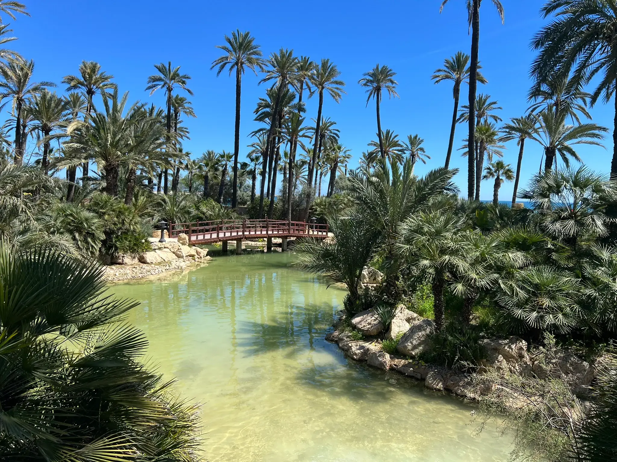 Lush garden canal path at El Palmeral Park Alicante with dense tropical vegetation and flowering plants alongside the waterway.