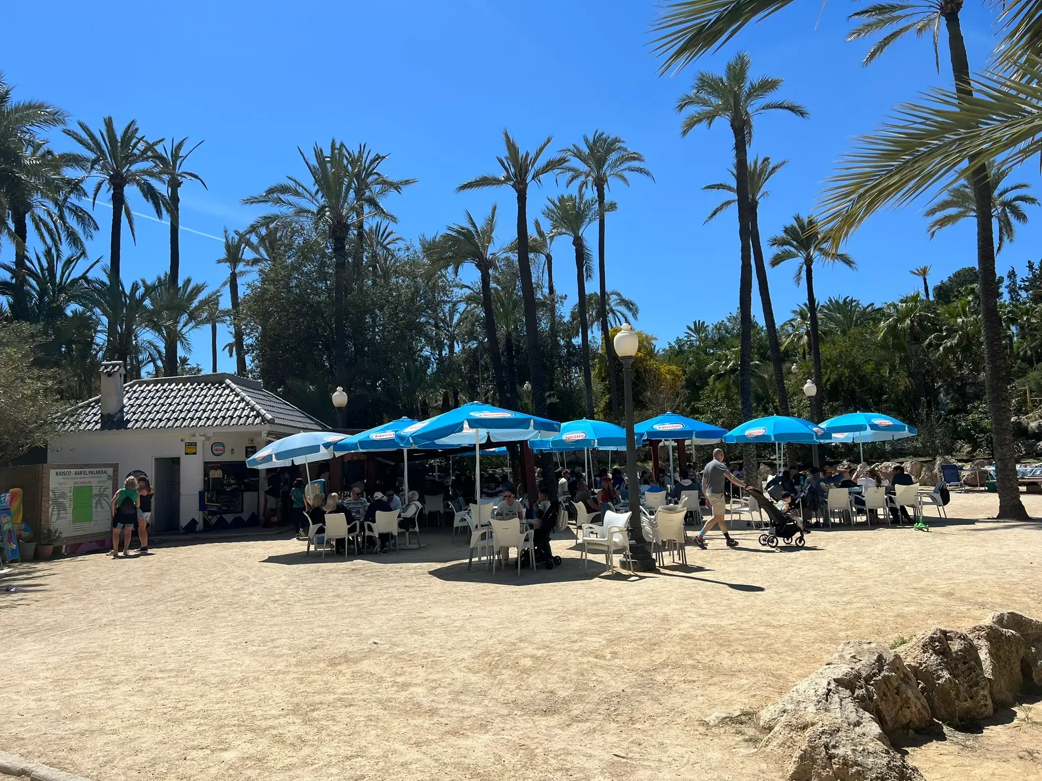El Palmeral Park café in Alicante — relaxed outdoor terrace with palm trees overhead and views across the park.