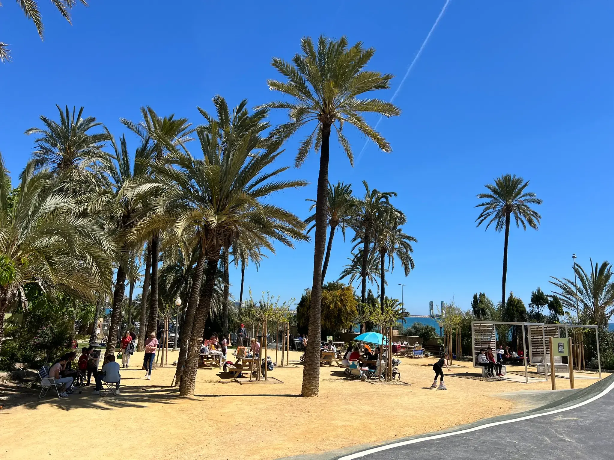 Recreation and picnic area at El Palmeral Park Alicante — open lawn with shaded benches under tall date palms.