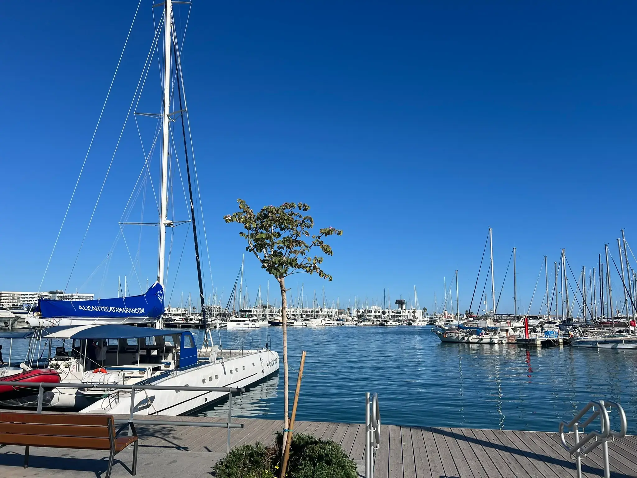 Catamaran boat tours departing from Alicante Marina port