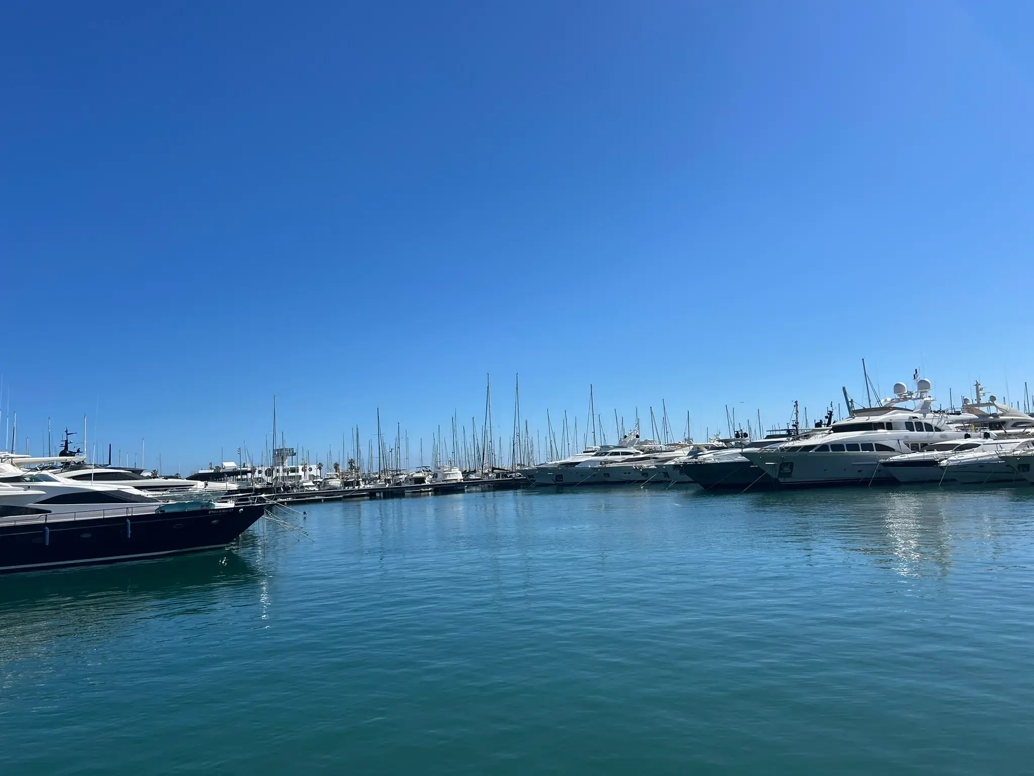 Luxury yachts moored at Alicante Marina port