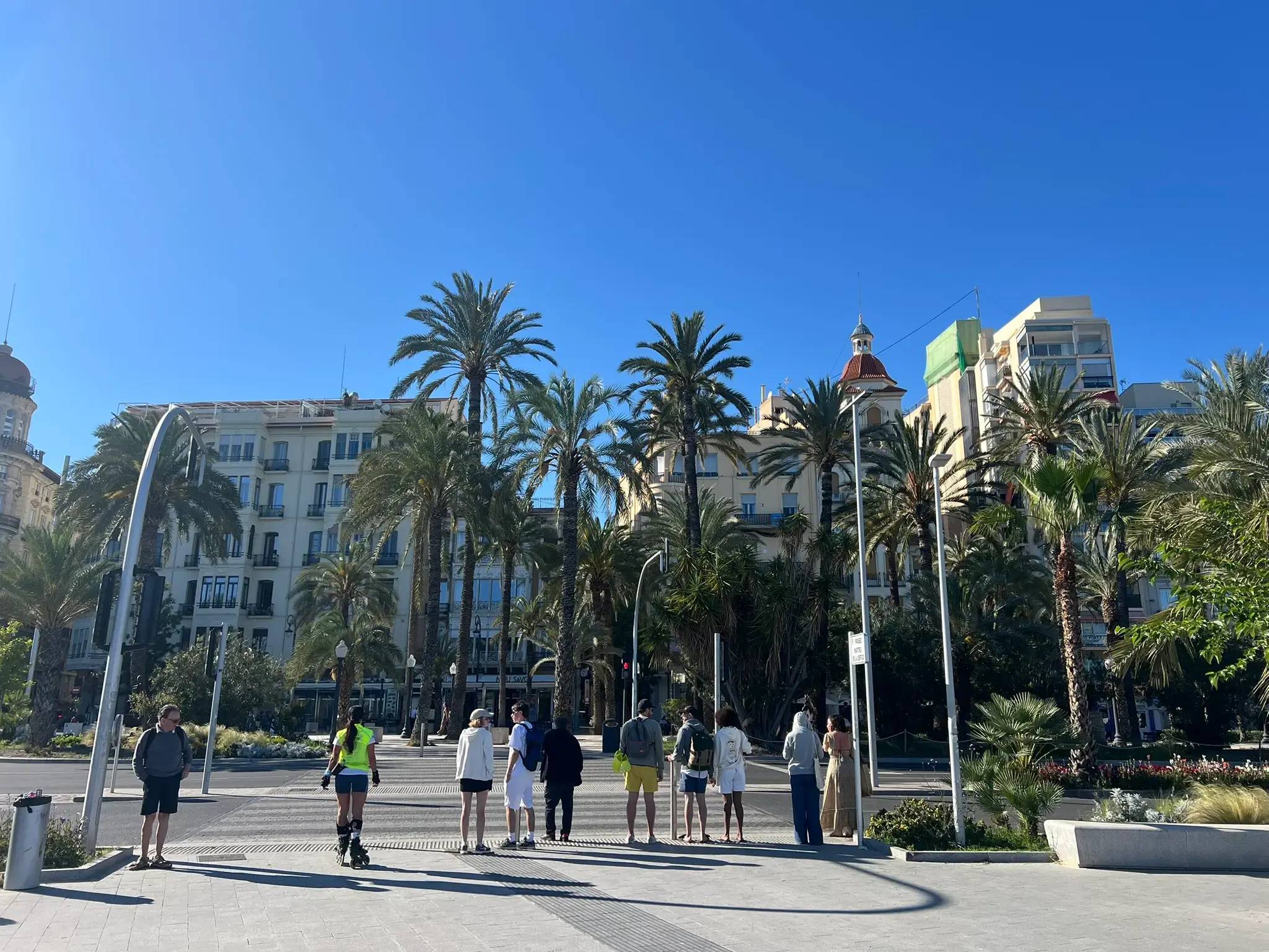 Pedestrian crossing at Alicante Marina with city palm trees