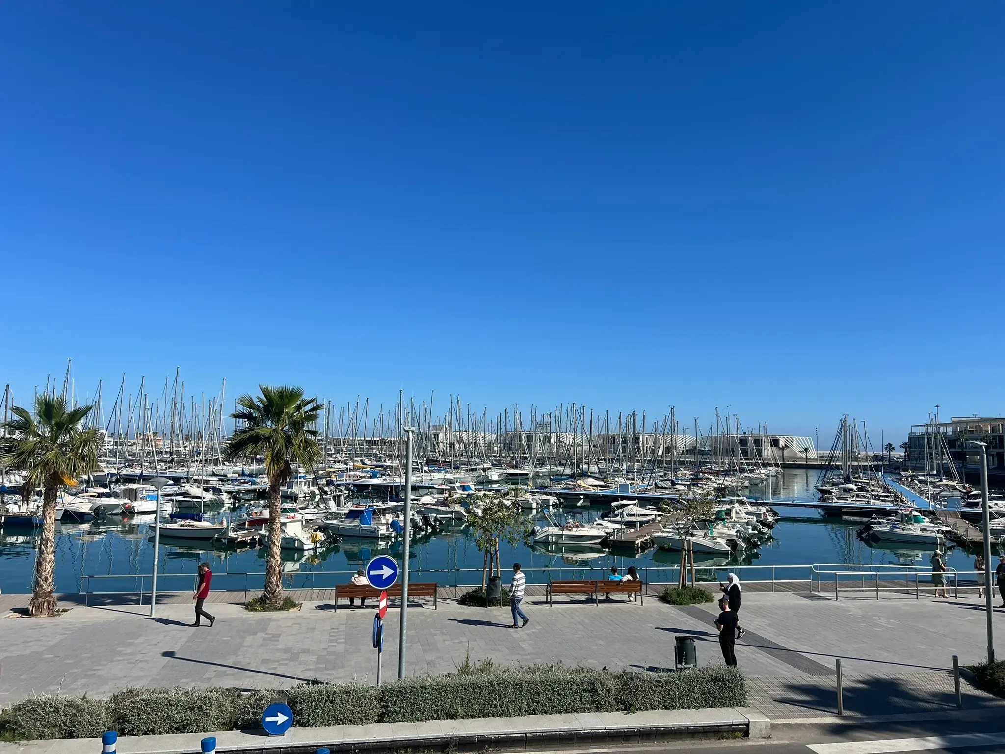 Panoramic view of Alicante Marina yacht club and waterfront