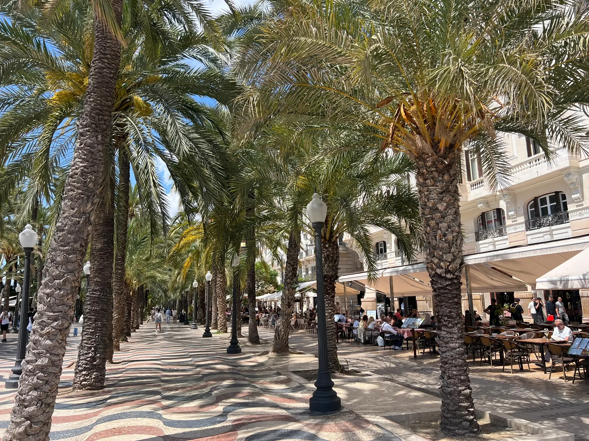Palm tree shadows cast on the marble tiles of Explanada de España, Alicante