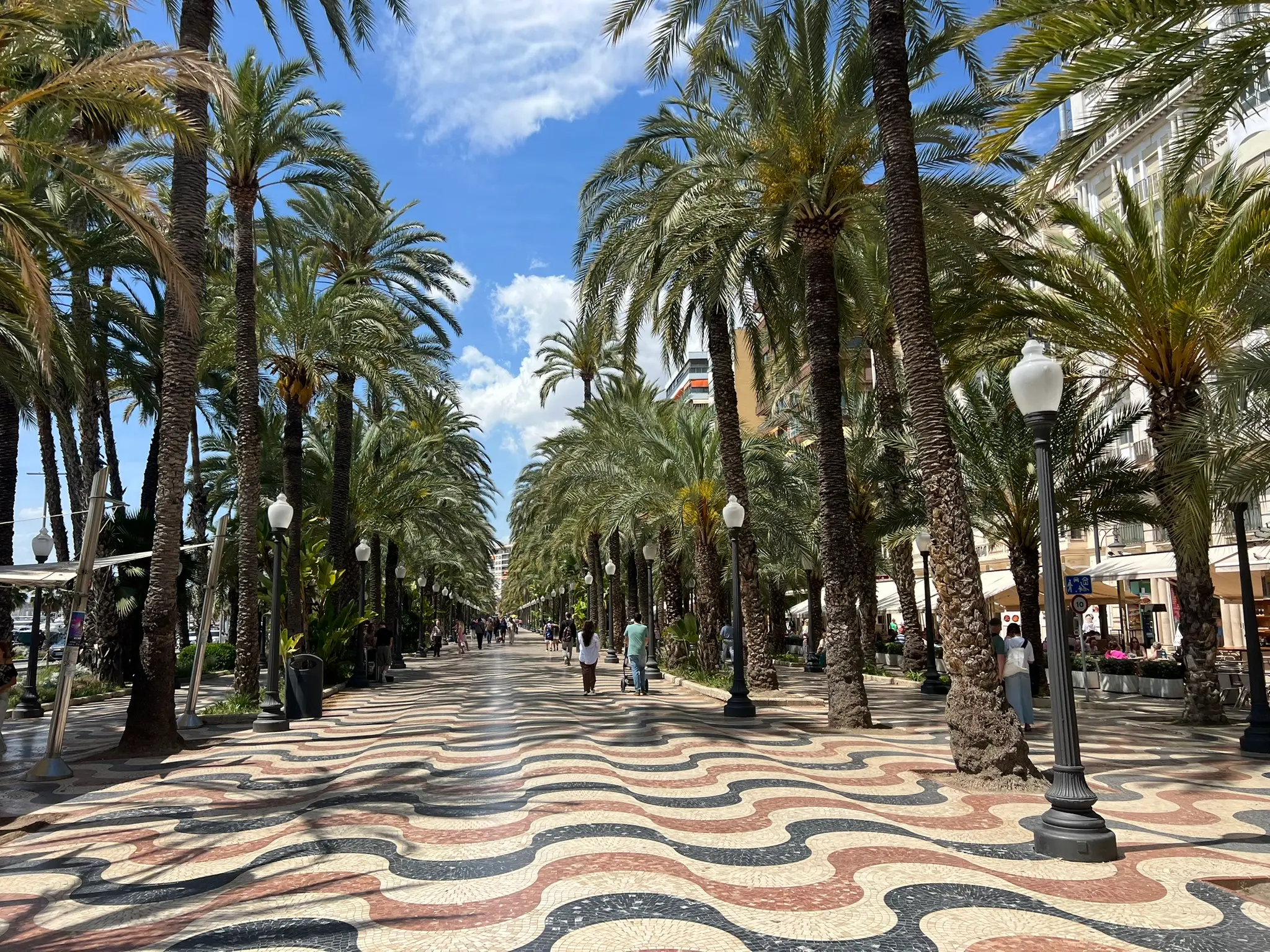 Explanada de España promenade lined with tall palm trees, Alicante