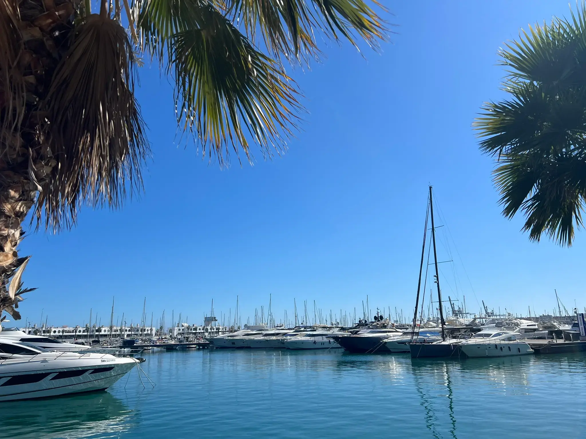 Yachts moored at Alicante port Marina with the Explanada promenade in view