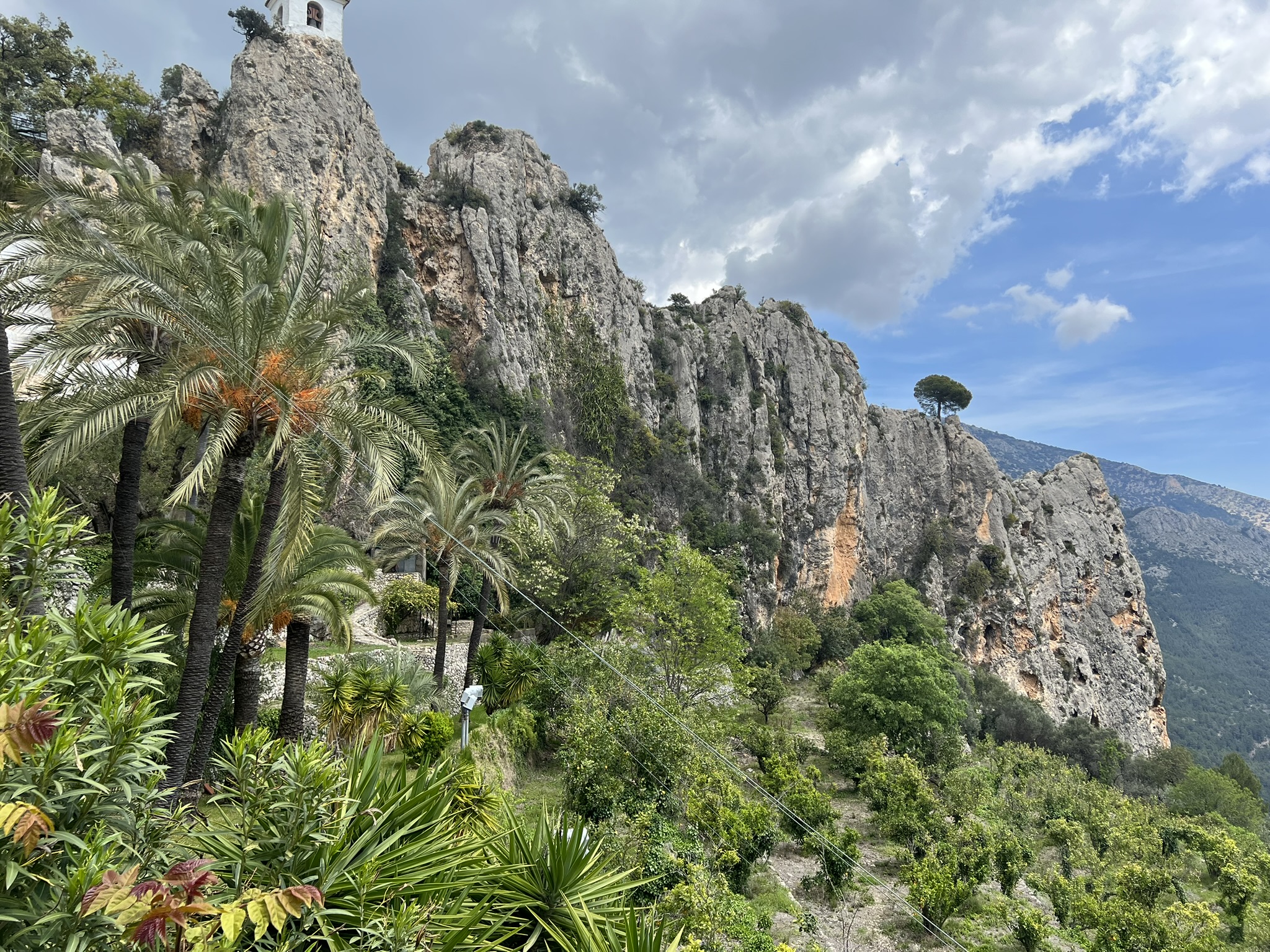 Der Glockenturm von Guadalest auf dem Felsgrat, mit schroffen Kalksteinklippen und einer einzelnen Pinie, die sich gegen den Himmel abzeichnet