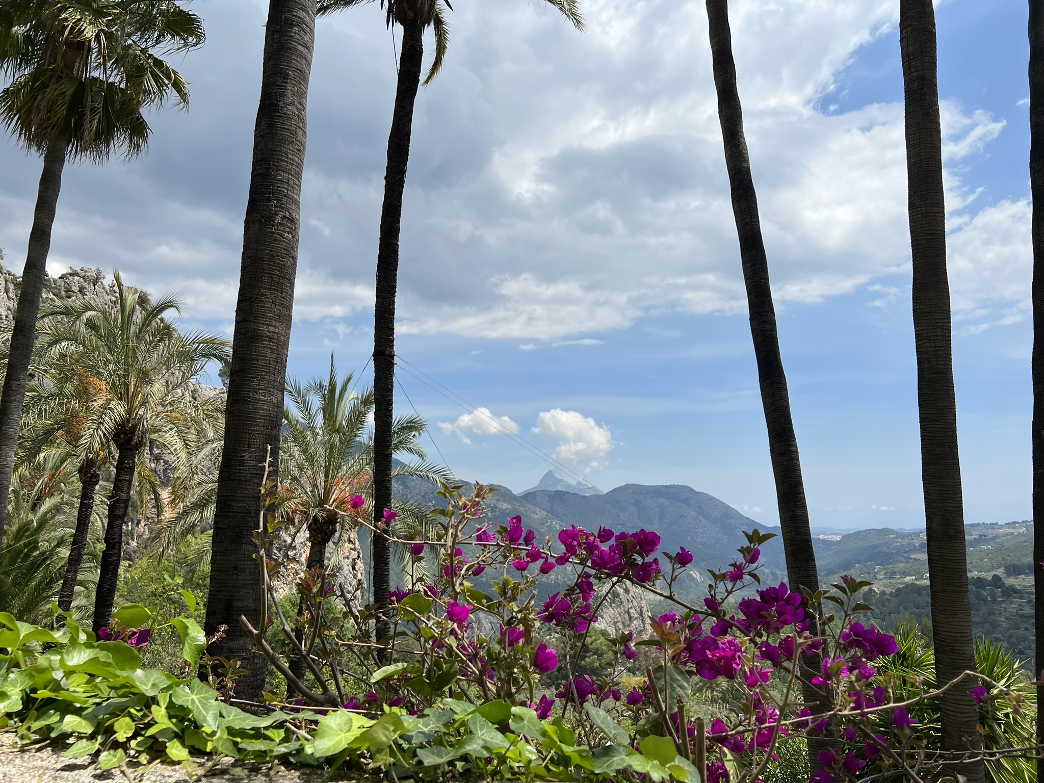 Palmen und magentafarbene Bougainvillea umrahmen einen fernen Berggipfel, gesehen von einer Gartenterrasse in Guadalest
