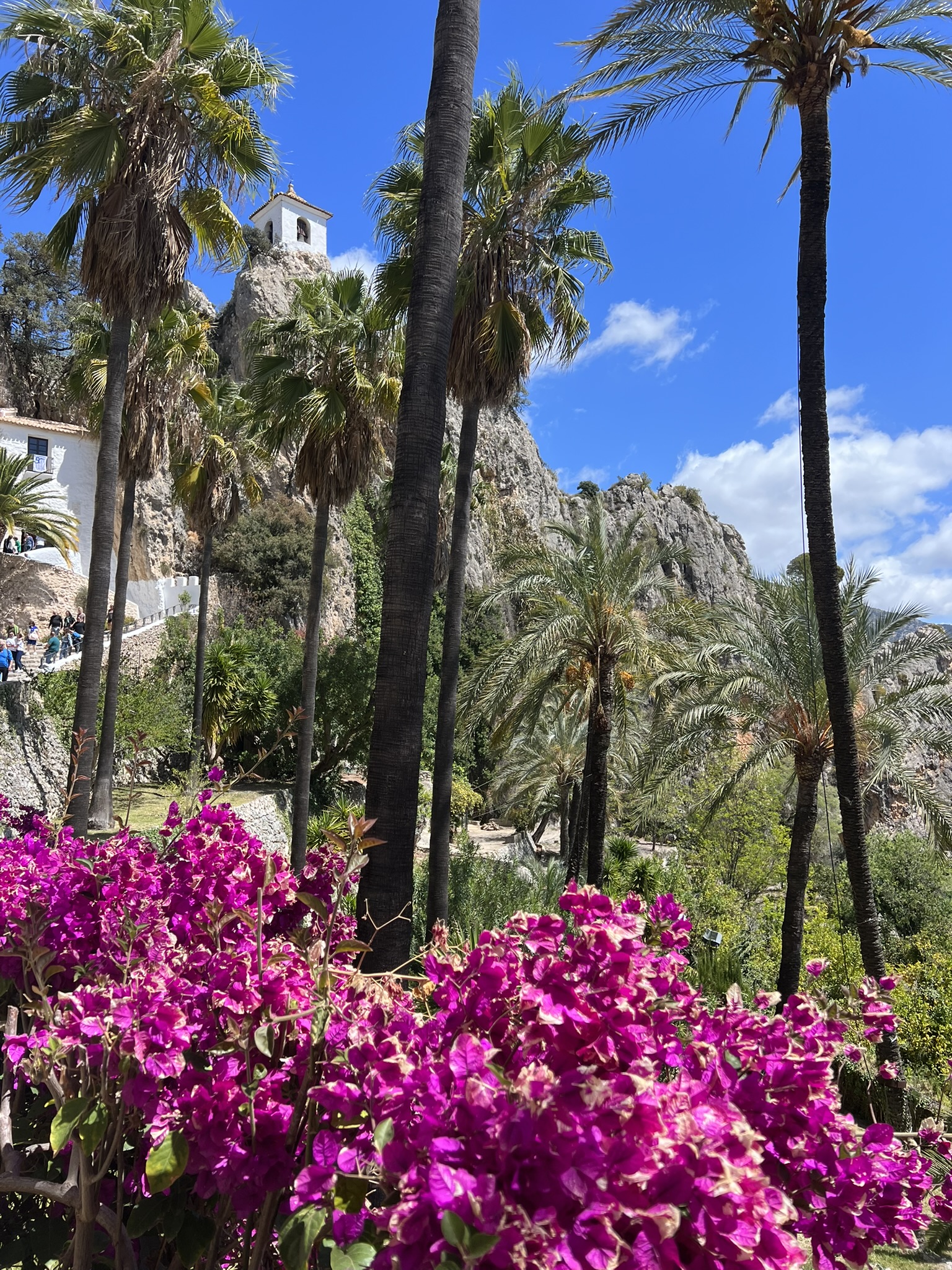 Magentafarbene Bougainvillea und Palmen umrahmen den Glockenturm von Guadalest auf seinem Felsen, mit der weiß getünchten Burgmauer und Besuchern auf dem Weg darunter