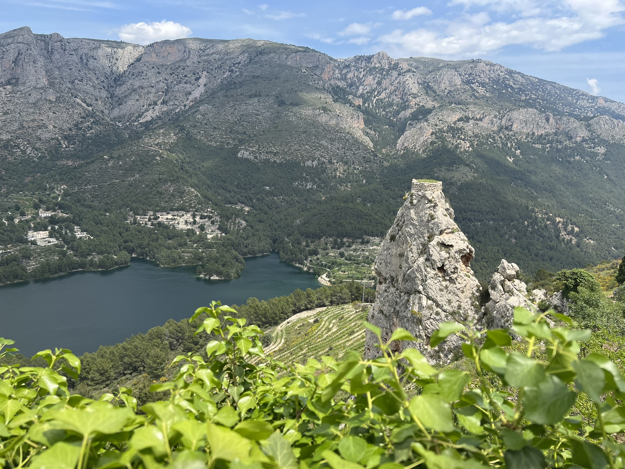 Der türkisfarbene Stausee Embalse de Guadalest unterhalb einer Felsspitze mit Burgruinen, im Vordergrund umrahmt von Efeu