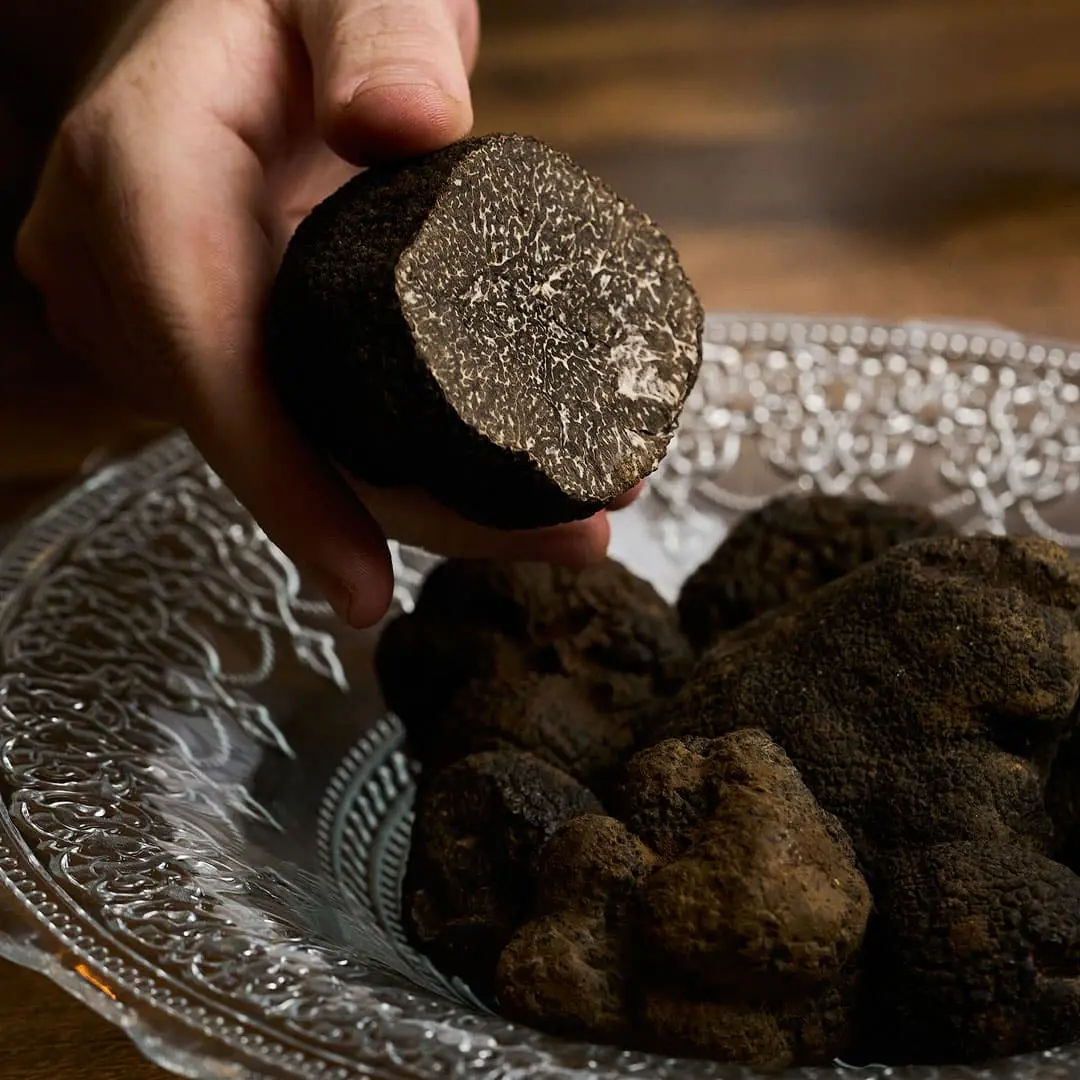 Truffle dish at Koiné Bistró
