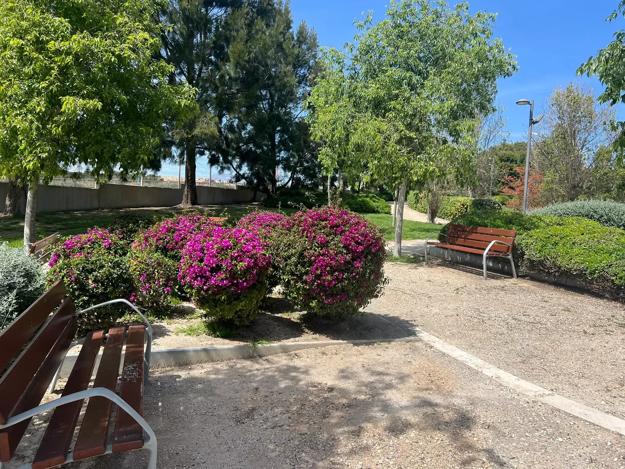 Tree-lined path with benches at Parque La Marjal in Alicante.