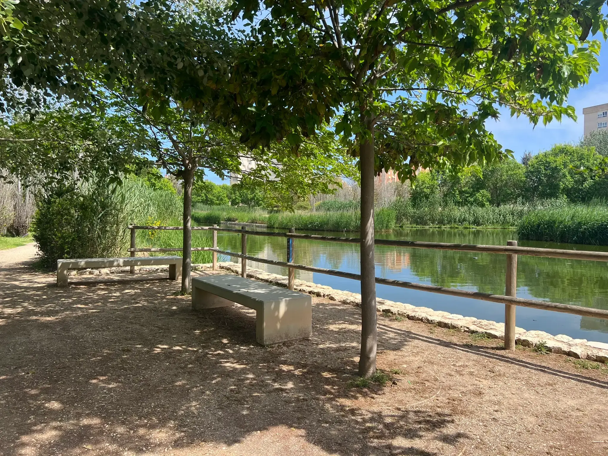 Benches beneath blooming bougainvillea at Parque La Marjal, Alicante.