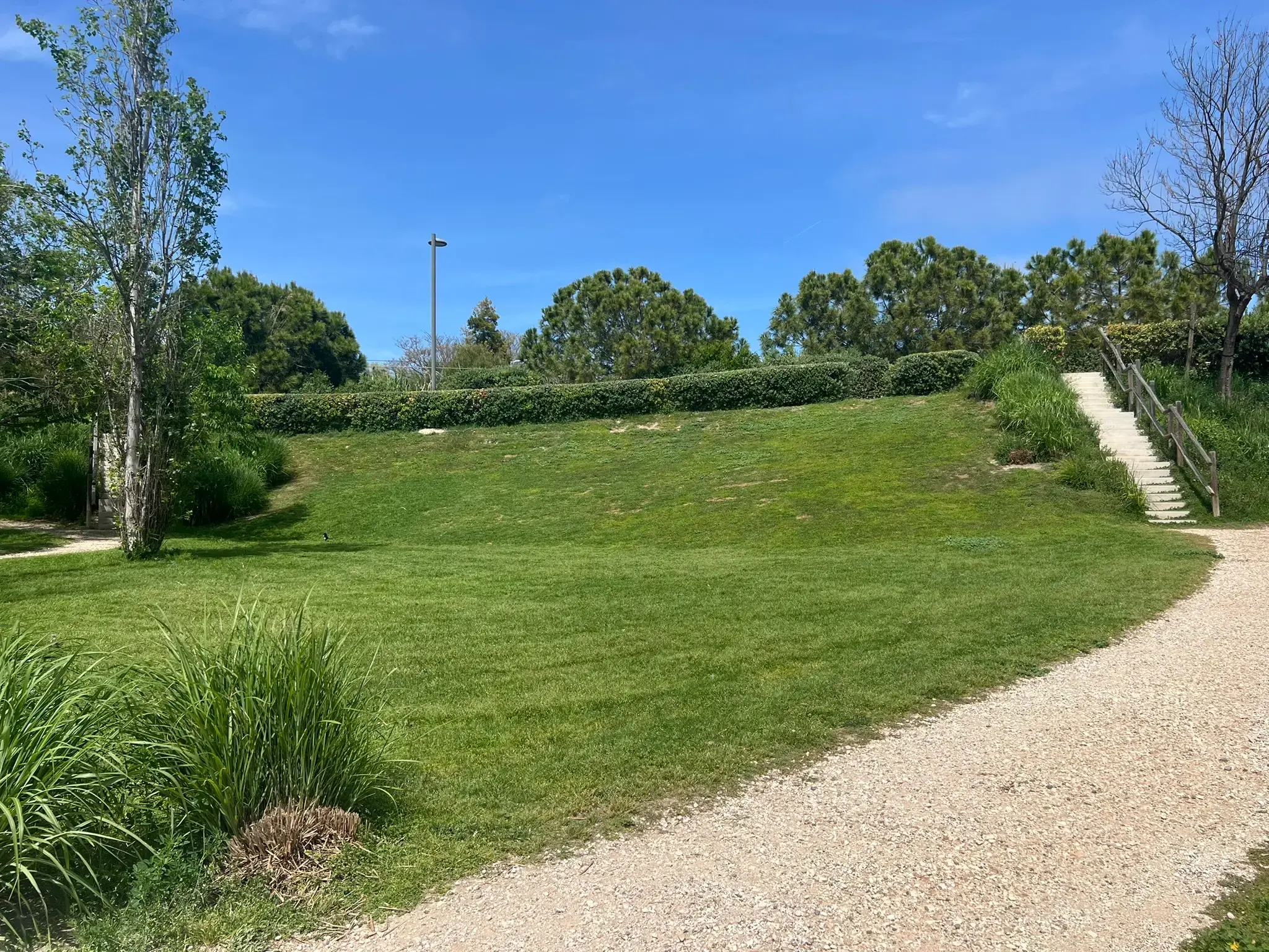 Gently sloped green lawn at Parque La Marjal in Alicante.