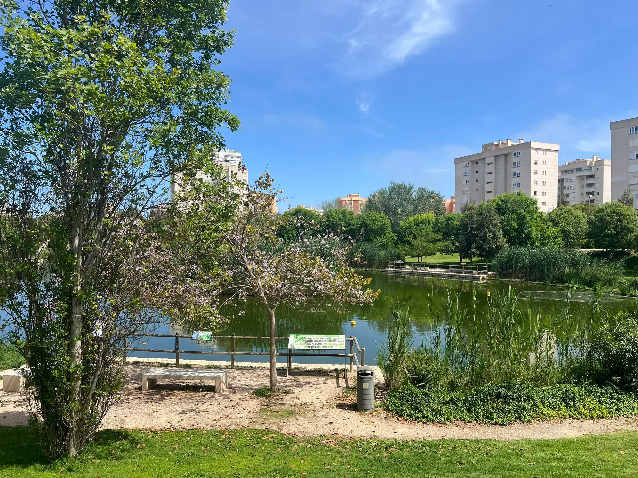 Lakeside rest area with benches overlooking the water at Parque La Marjal Alicante.