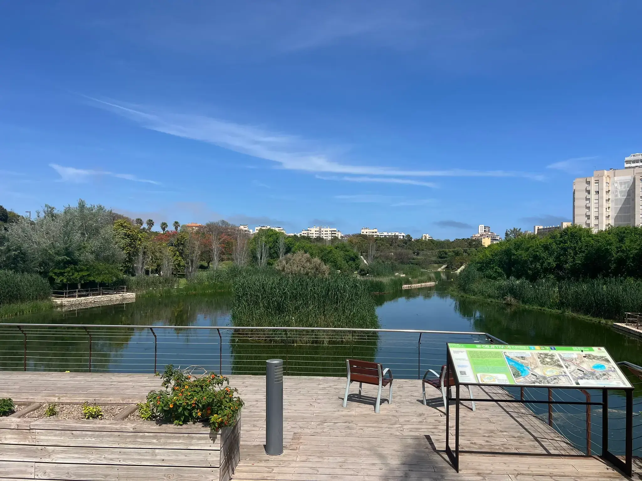 Viewpoint overlooking the peaceful lake at Parque La Marjal in Alicante.