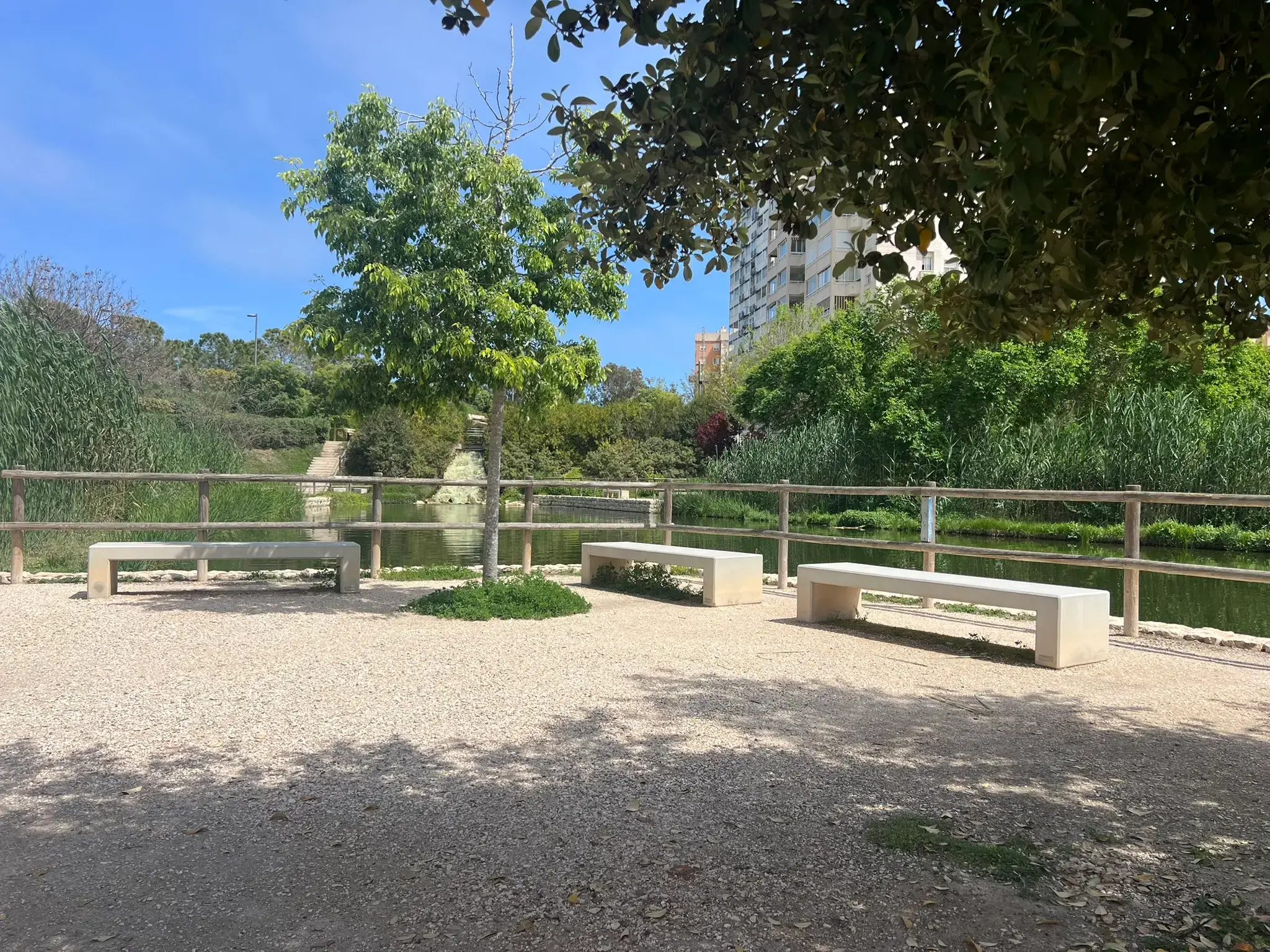 Benches positioned along the lakeside at Parque La Marjal Alicante.