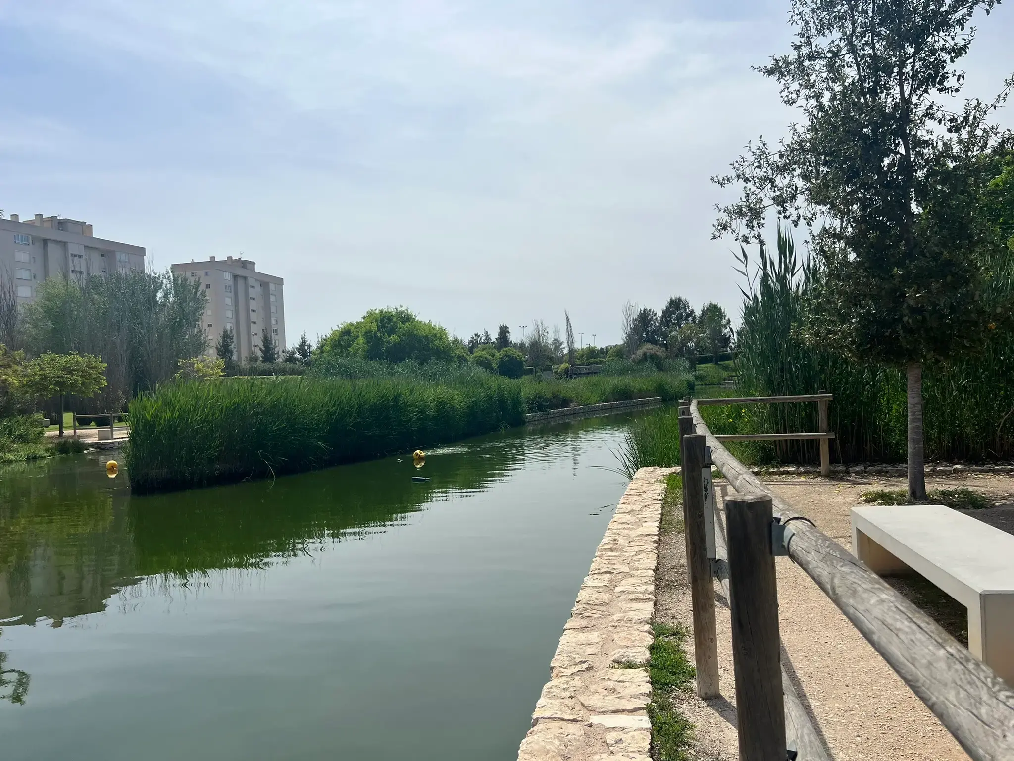Wooden walkway running along the lake edge at Parque La Marjal Alicante.