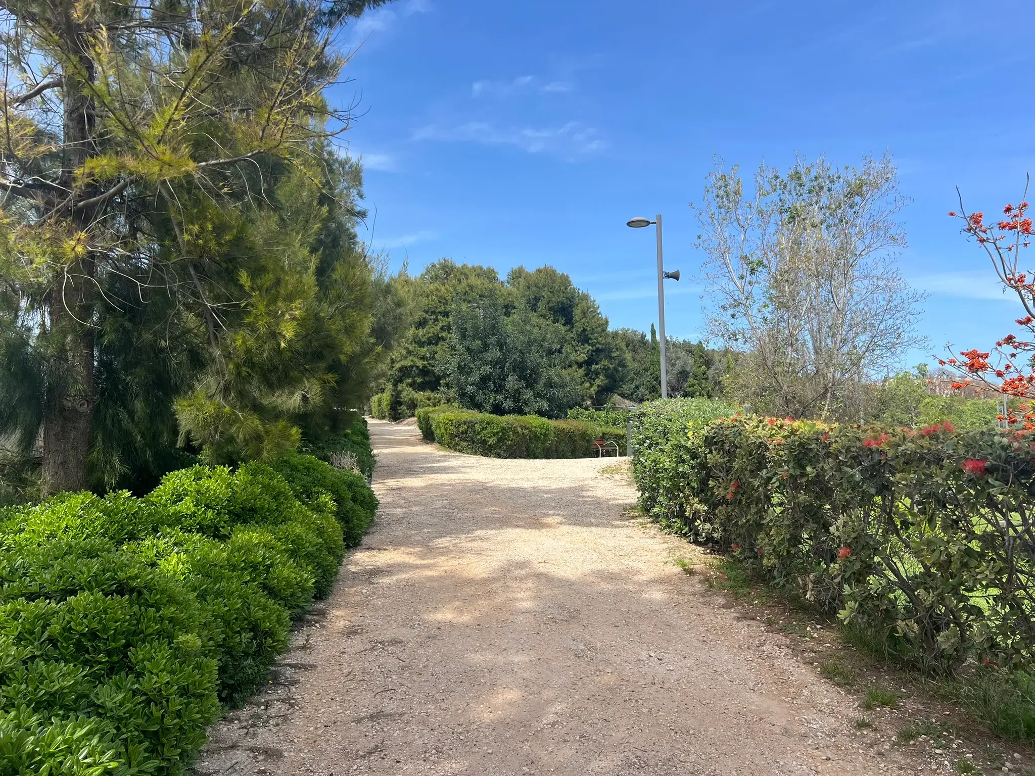 Walking trail through green surroundings at Parque La Marjal in Alicante.