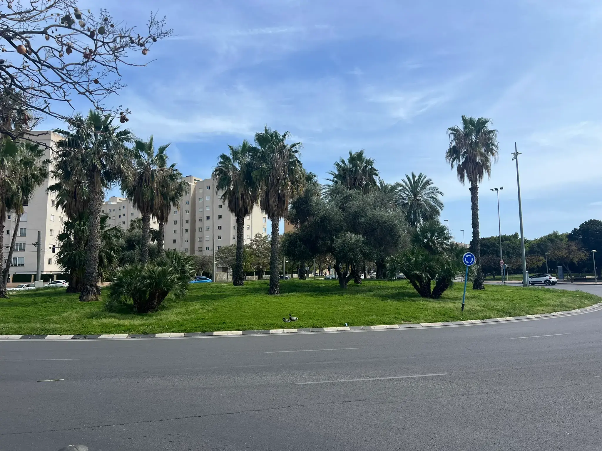 Landscaped roundabout garden at the entrance to Parque La Marjal Alicante.