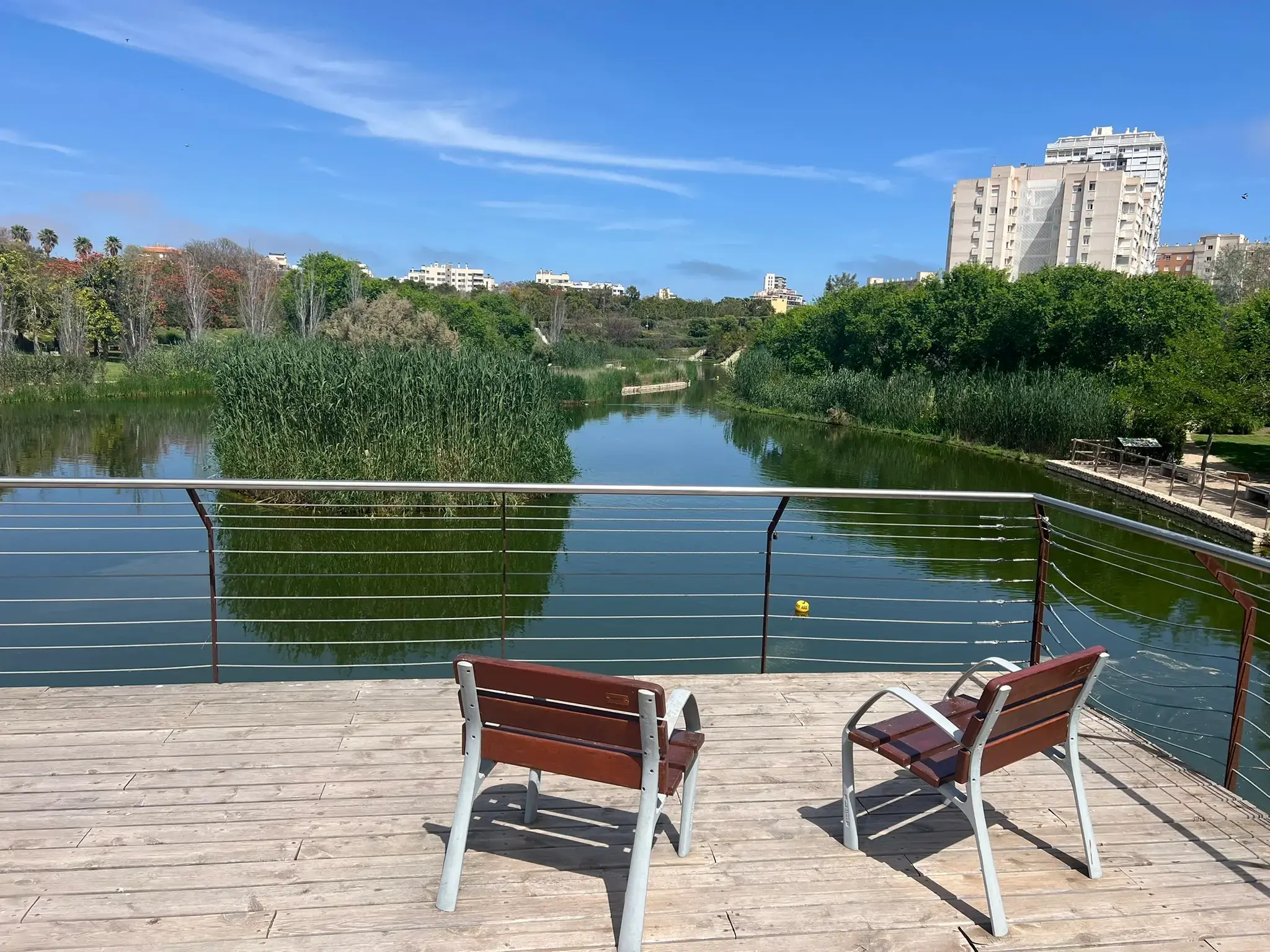 Scenic lake view with wooden observation deck and benches at Parque La Marjal Alicante