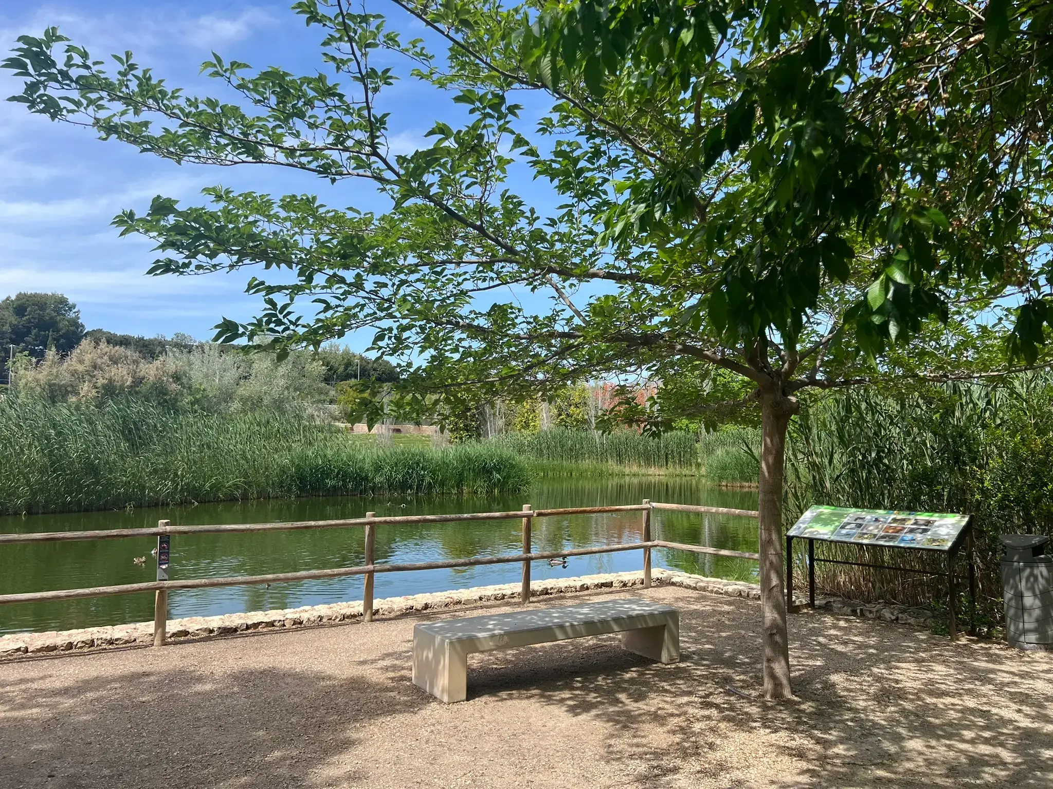 Shaded resting point with a view of the lake at Parque La Marjal Alicante.