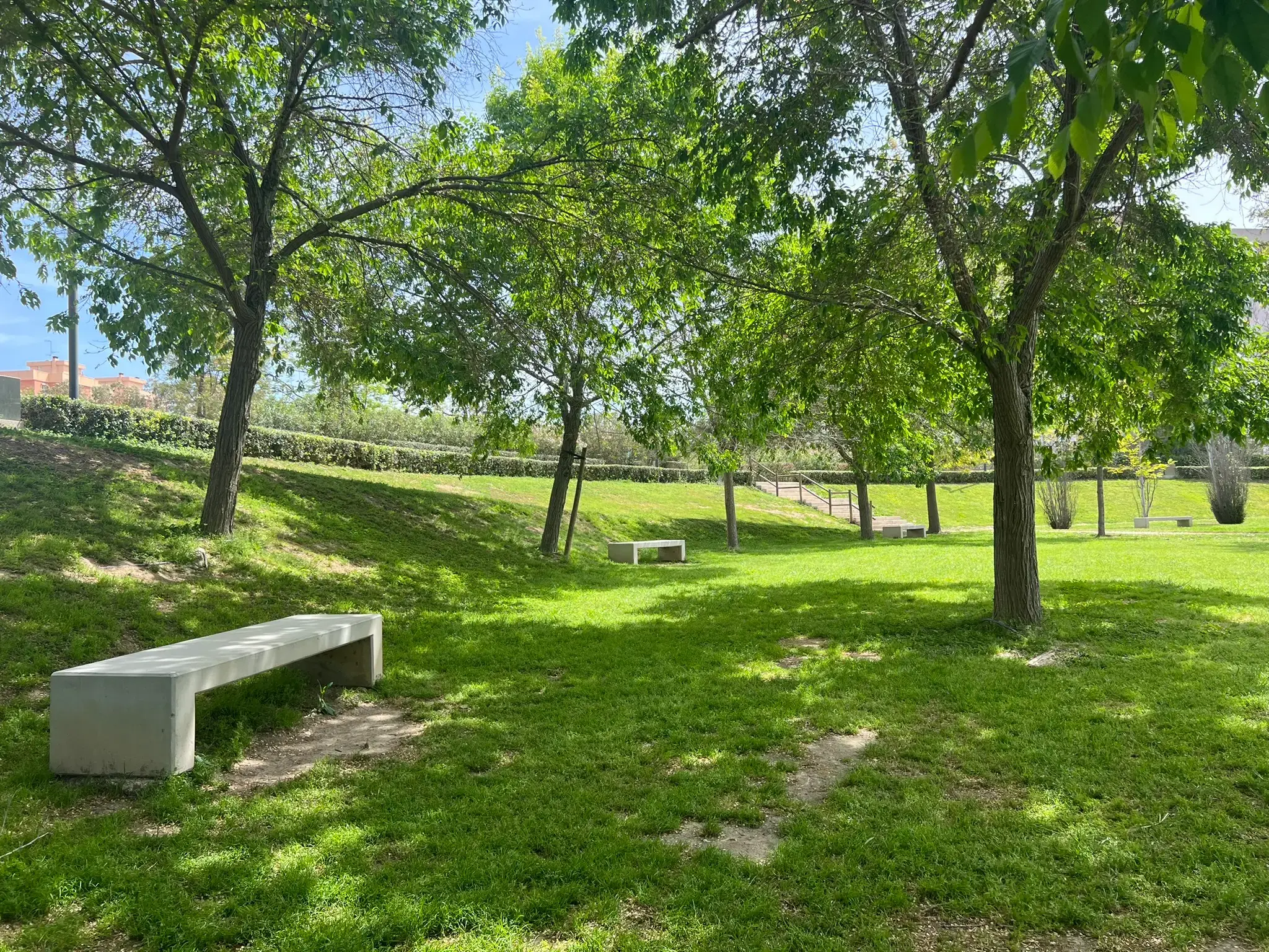 Shaded benches on a grassy lawn area at Parque La Marjal Alicante.