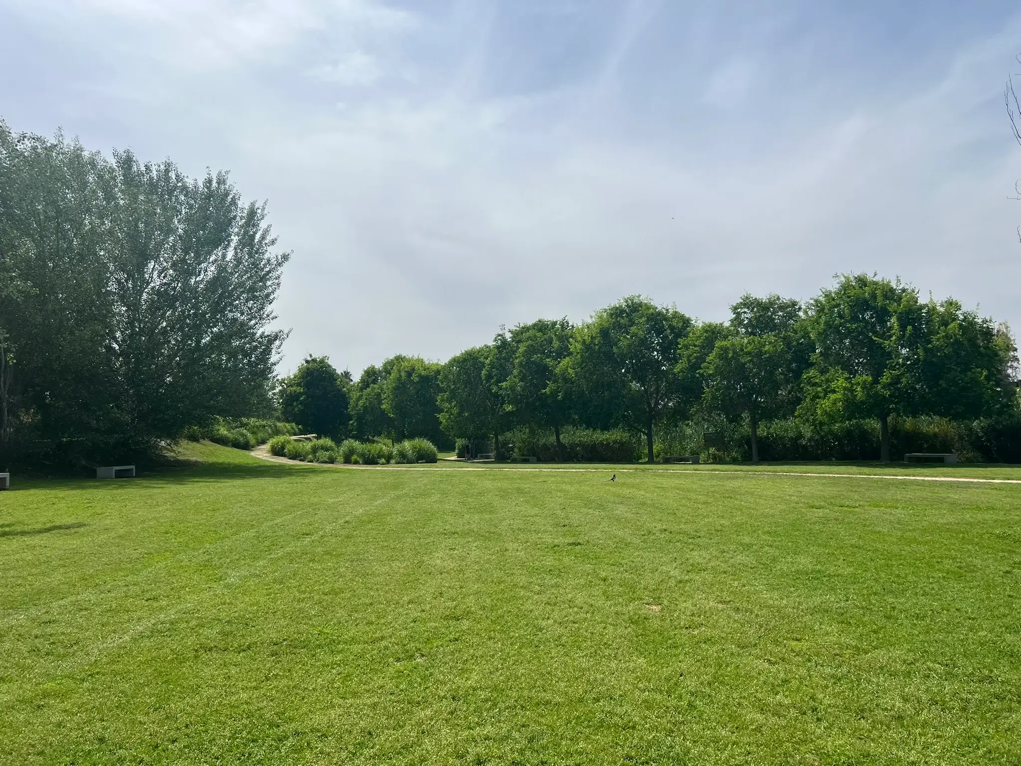 Spacious open lawn area at Parque La Marjal Alicante — ideal for families and picnics.