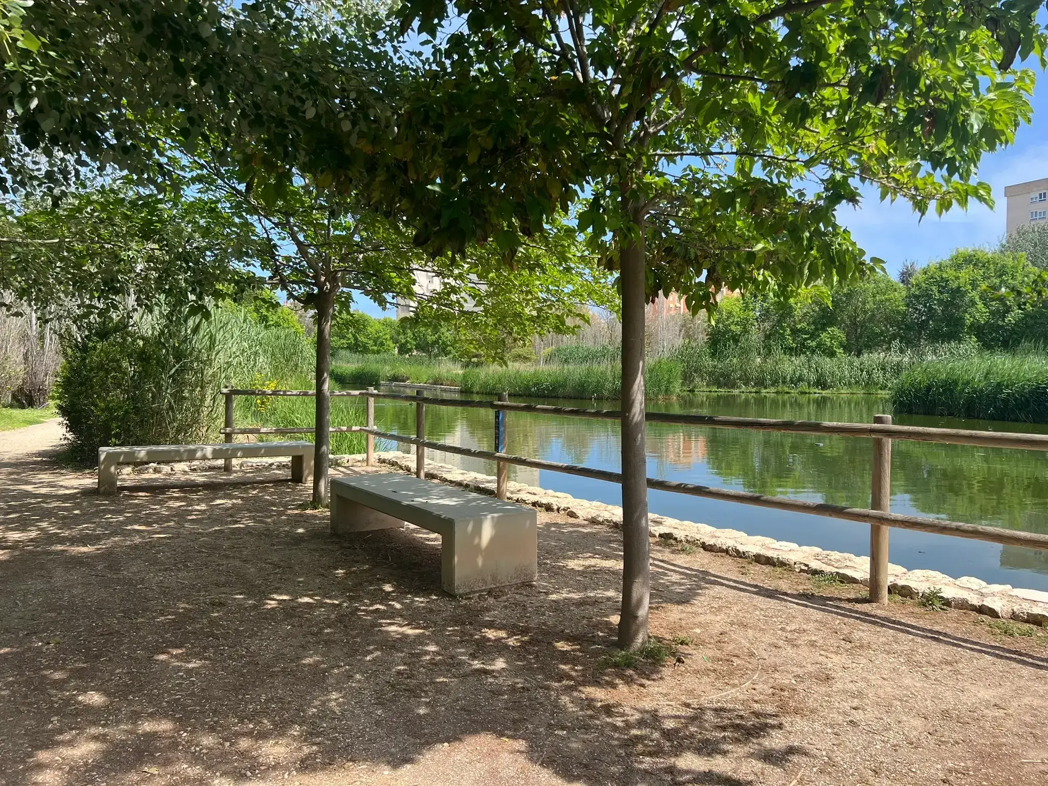 Stone benches along the lakefront at Parque La Marjal Alicante.