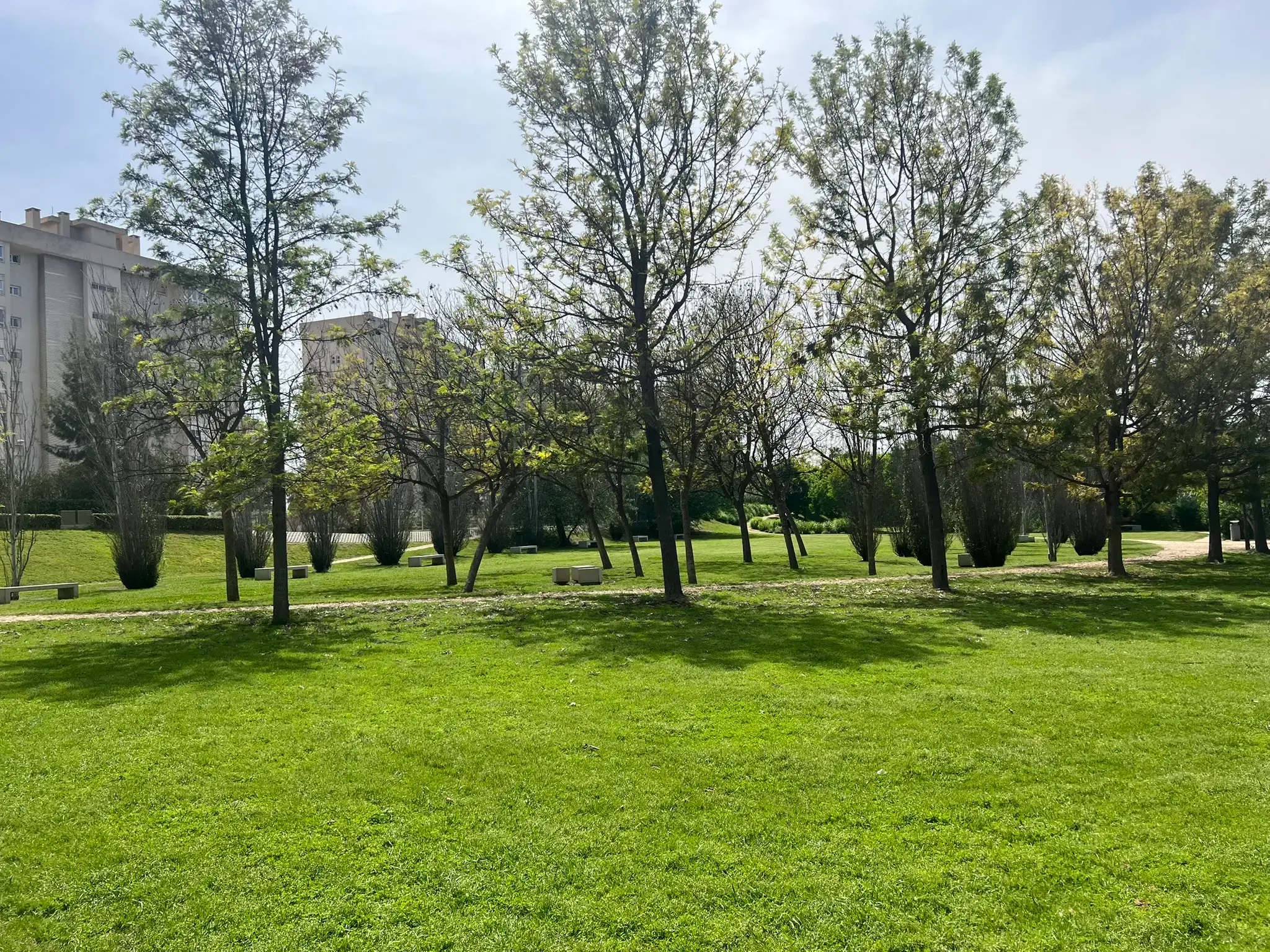 Sunny open landscape of Parque La Marjal Alicante on a clear day.
