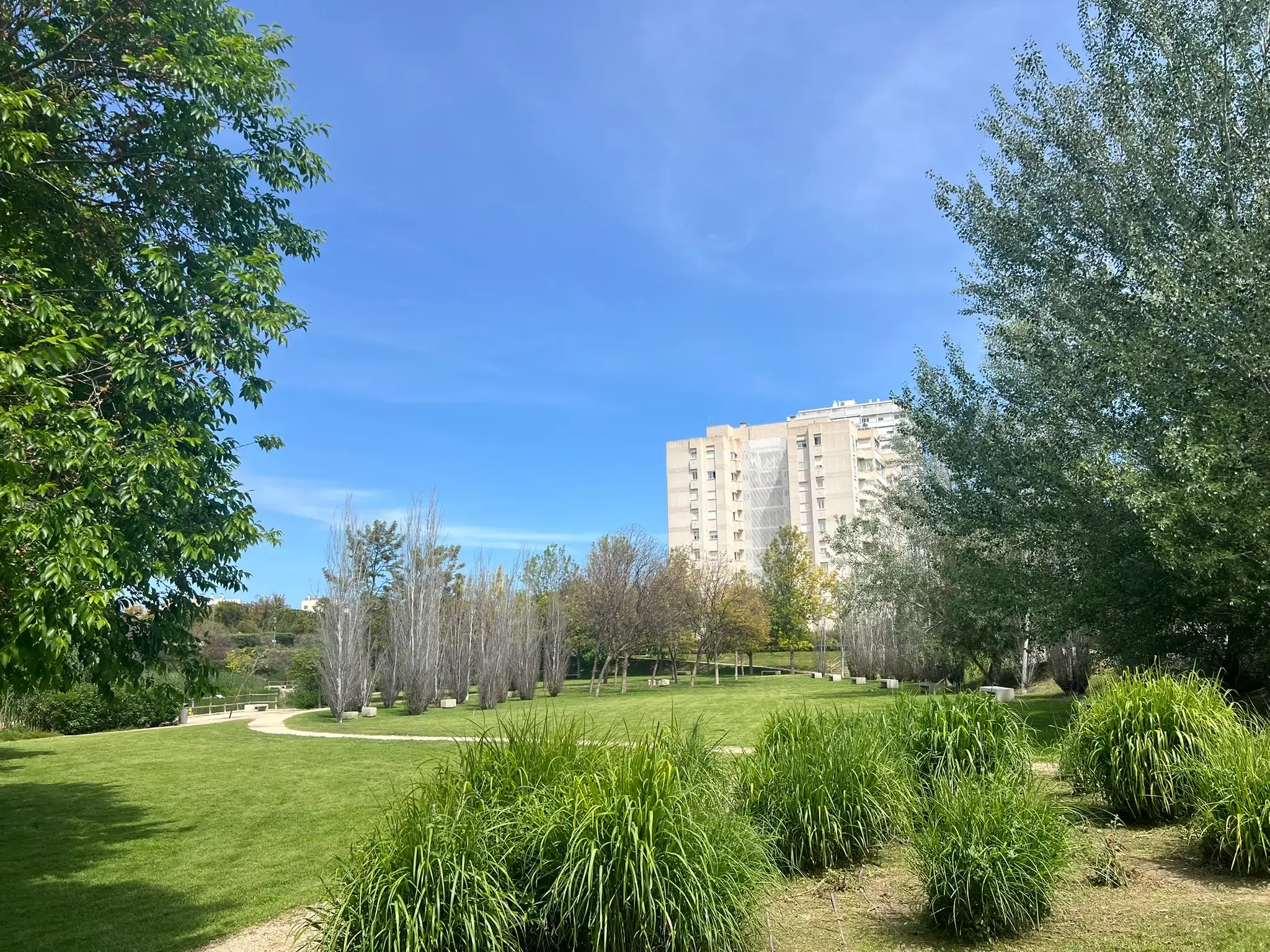 Urban park landscape with modern design elements at Parque La Marjal Alicante.