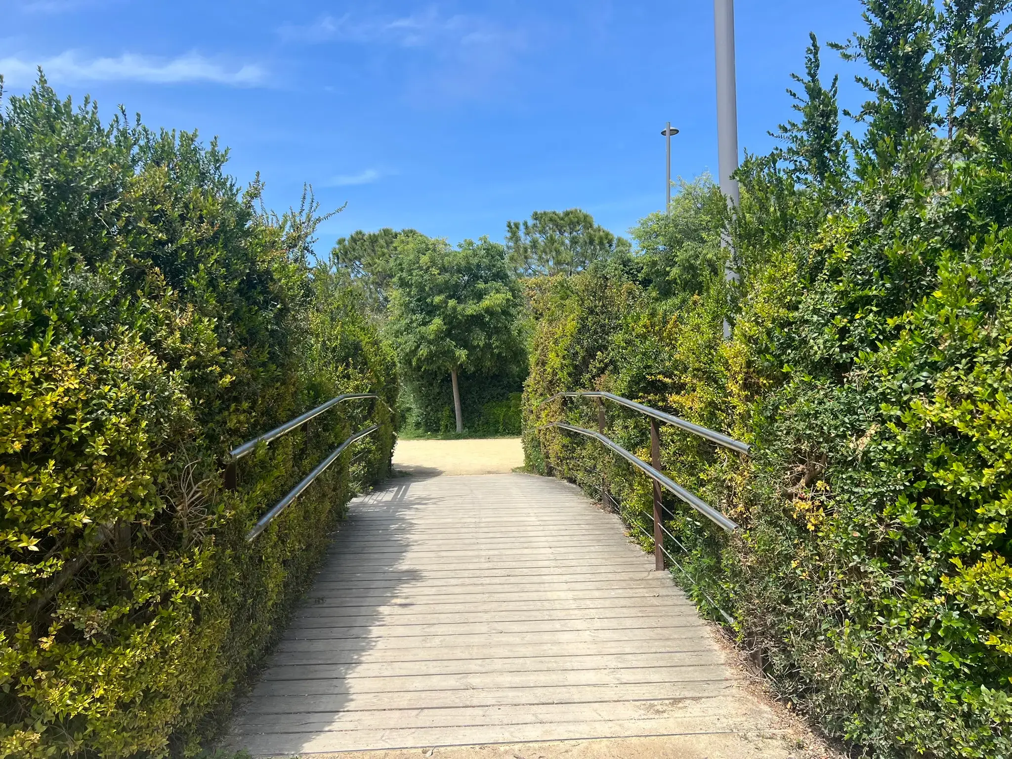 Wooden footbridge crossing over the lake at Parque La Marjal Alicante.