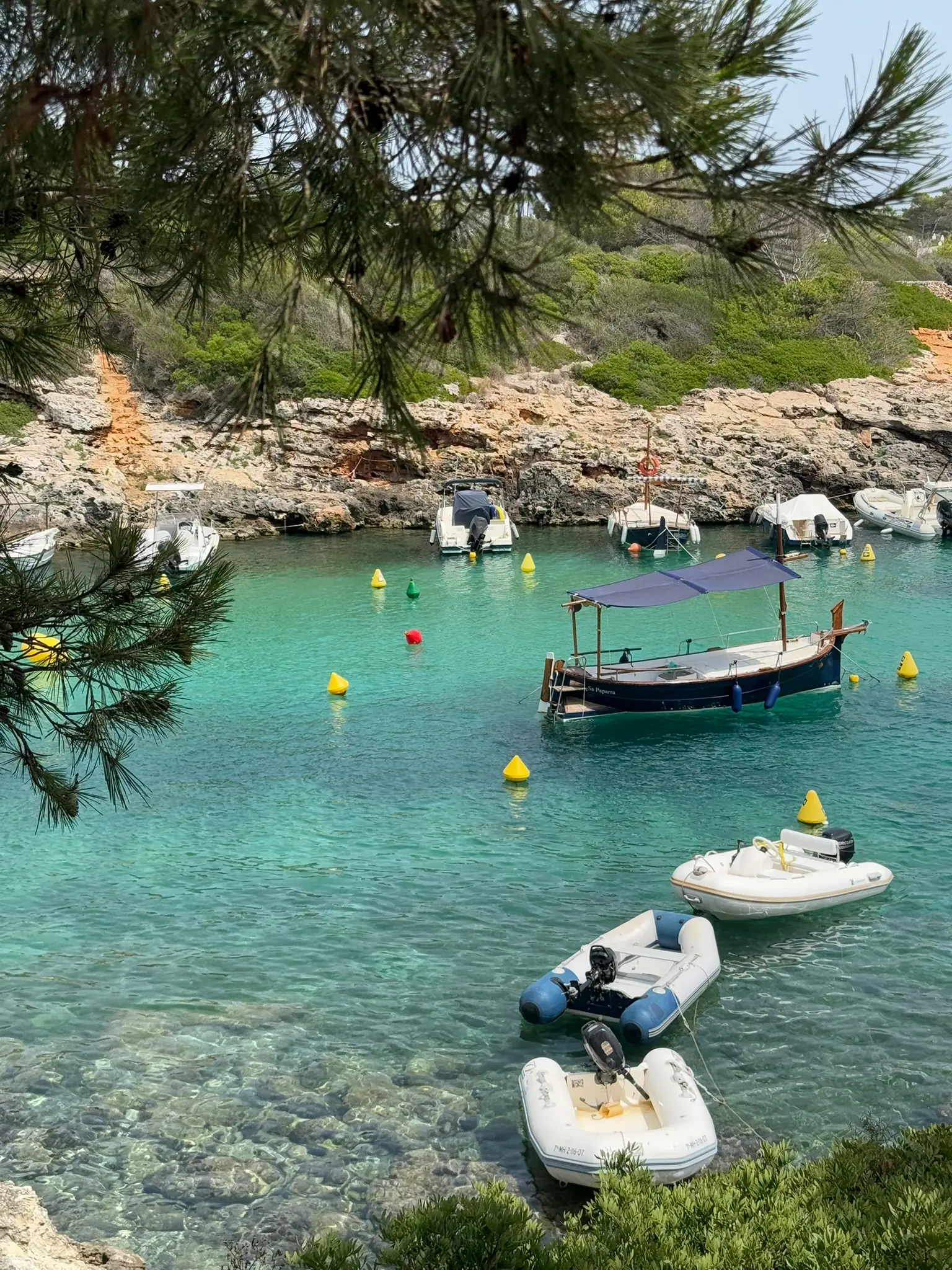 Kleine vissersbootjes voor anker in een heldere turquoise baai op Menorca, omringd door pijnbomen