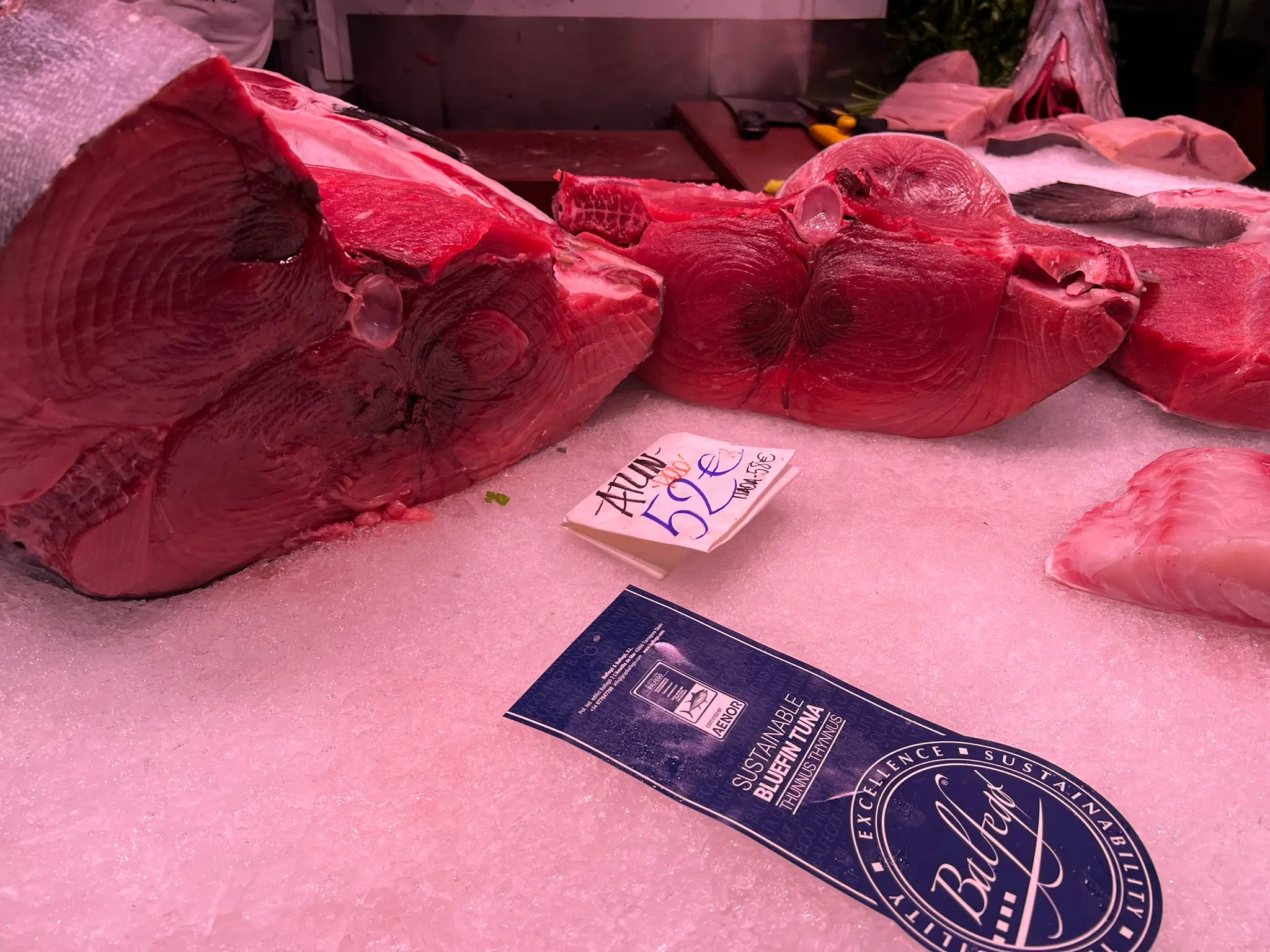Premium Balfegó bluefin tuna (Atún Rojo) on ice