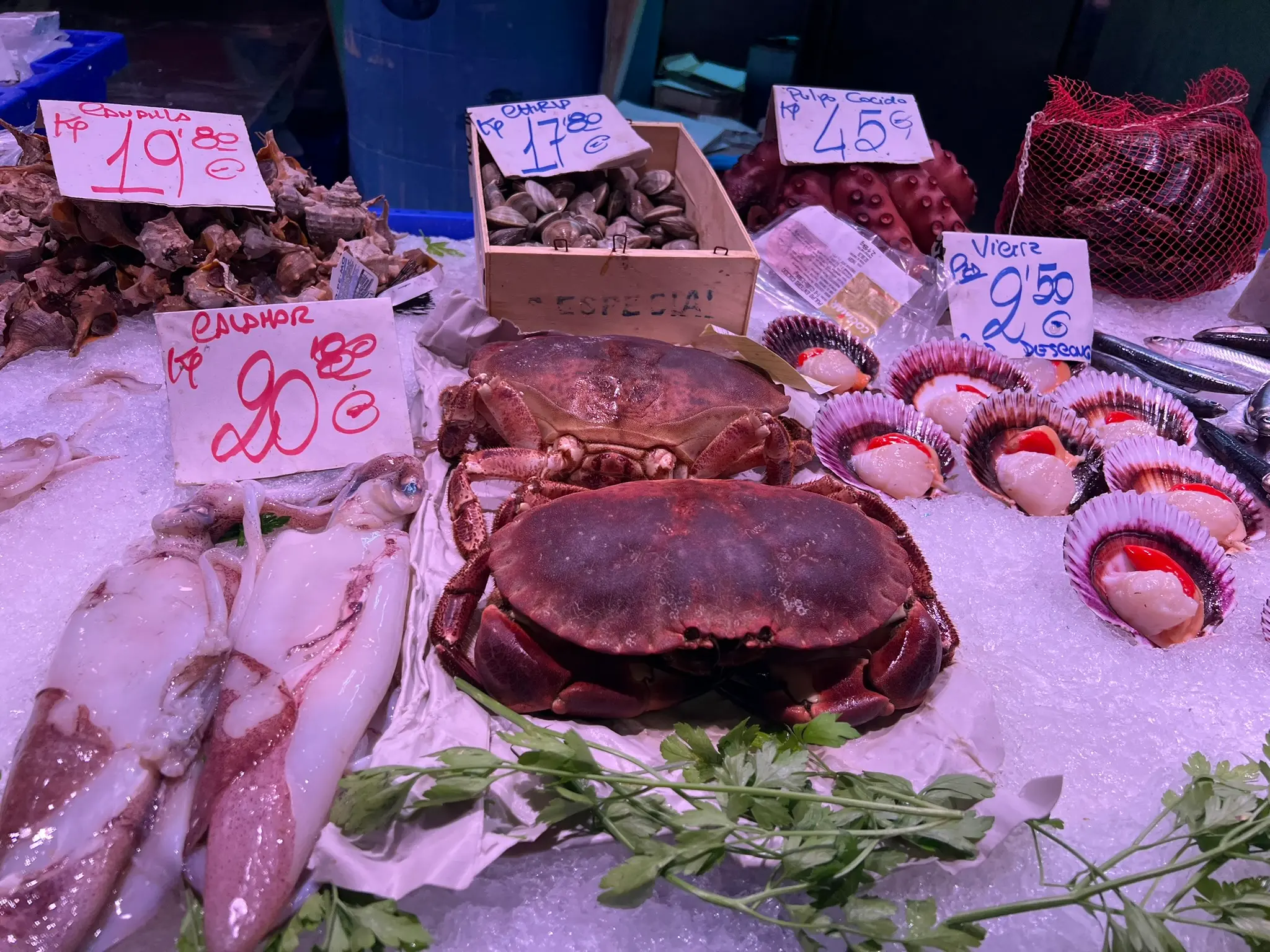 Brown crabs, squids, scallops in shells, and clams on ice
