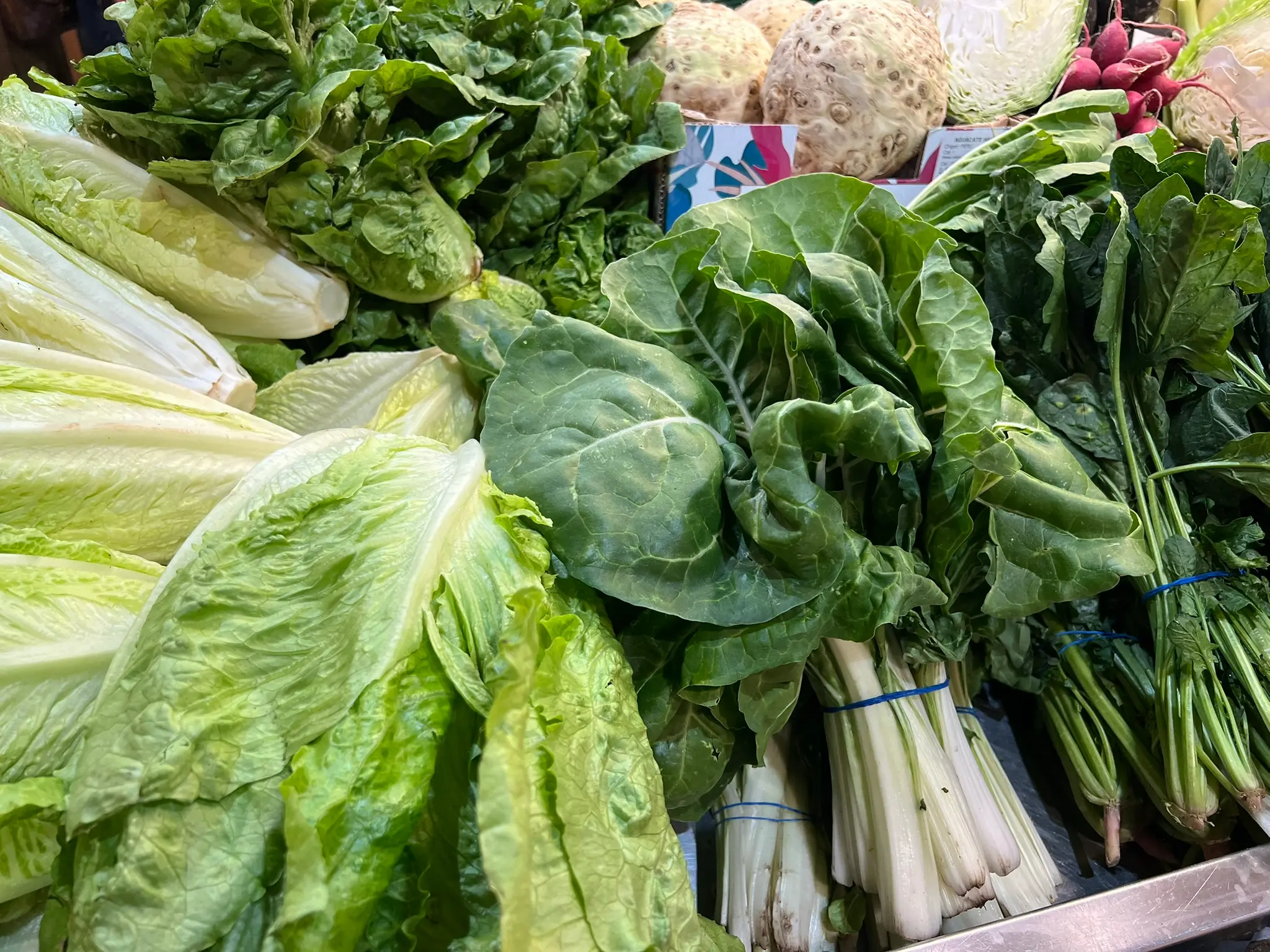 Fresh vegetables — Swiss chard, romaine lettuce, spinach